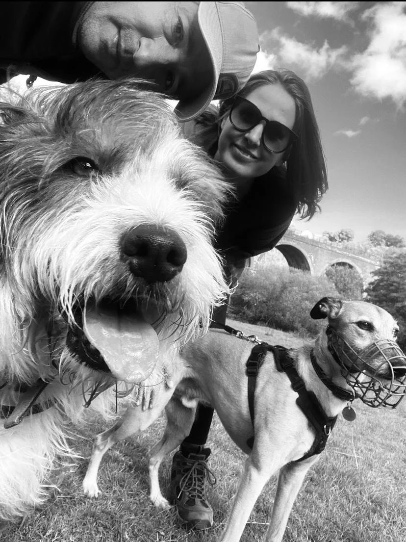 the-dog-trainer-school