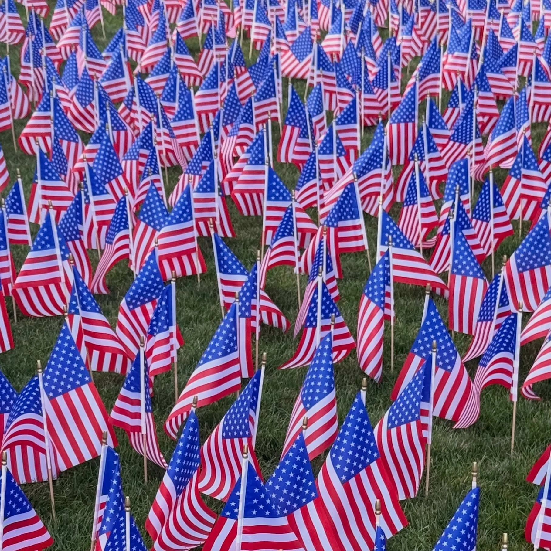 🇺🇸
