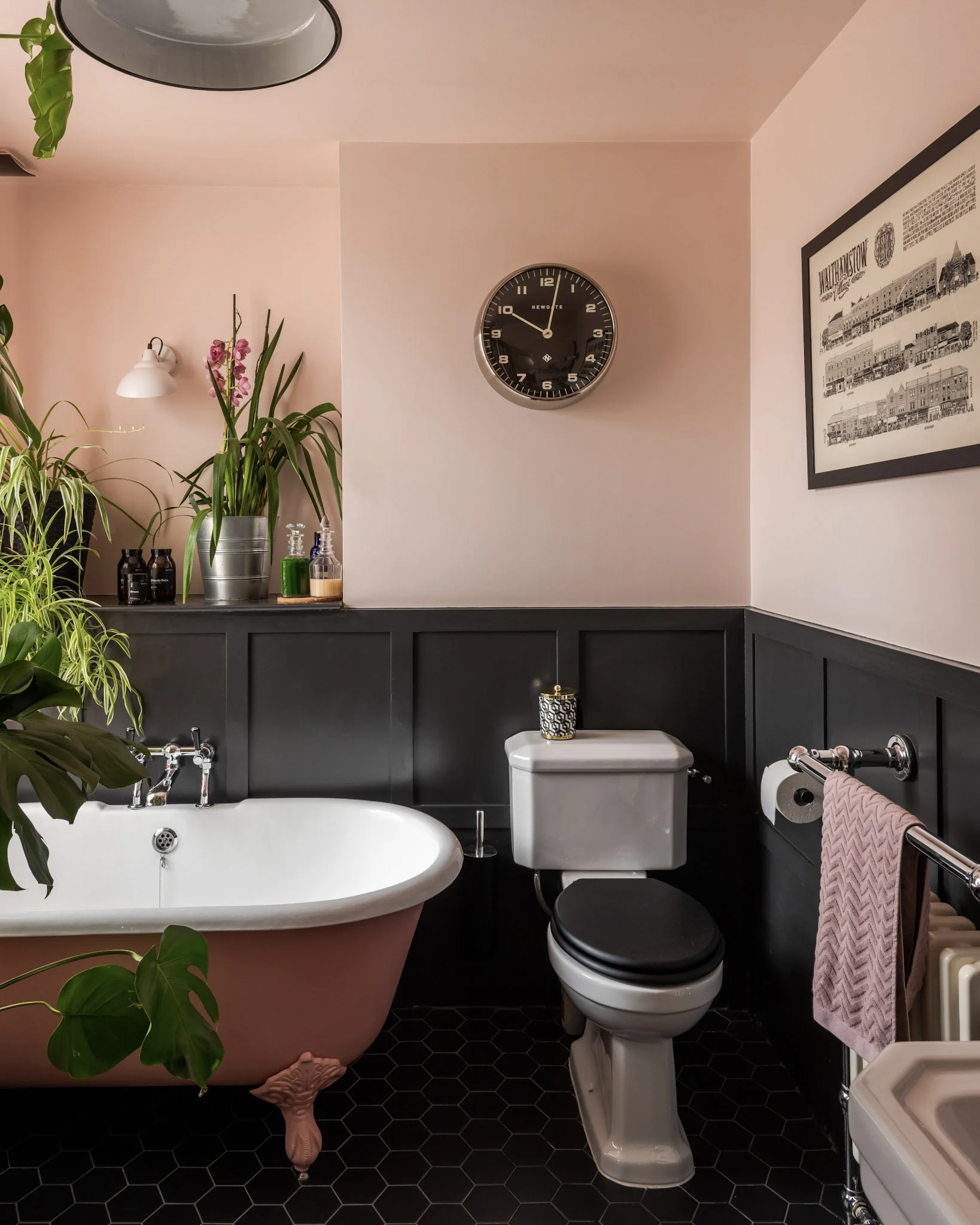 A bathroom featuring a pink clawfoot bathtub with green plants inside, a white toilet with a black seat, black hexagonal floor tiles, a black wall wainscoting, a black clock on the wall, a framed black-and-white picture, and decorative bottles on a l