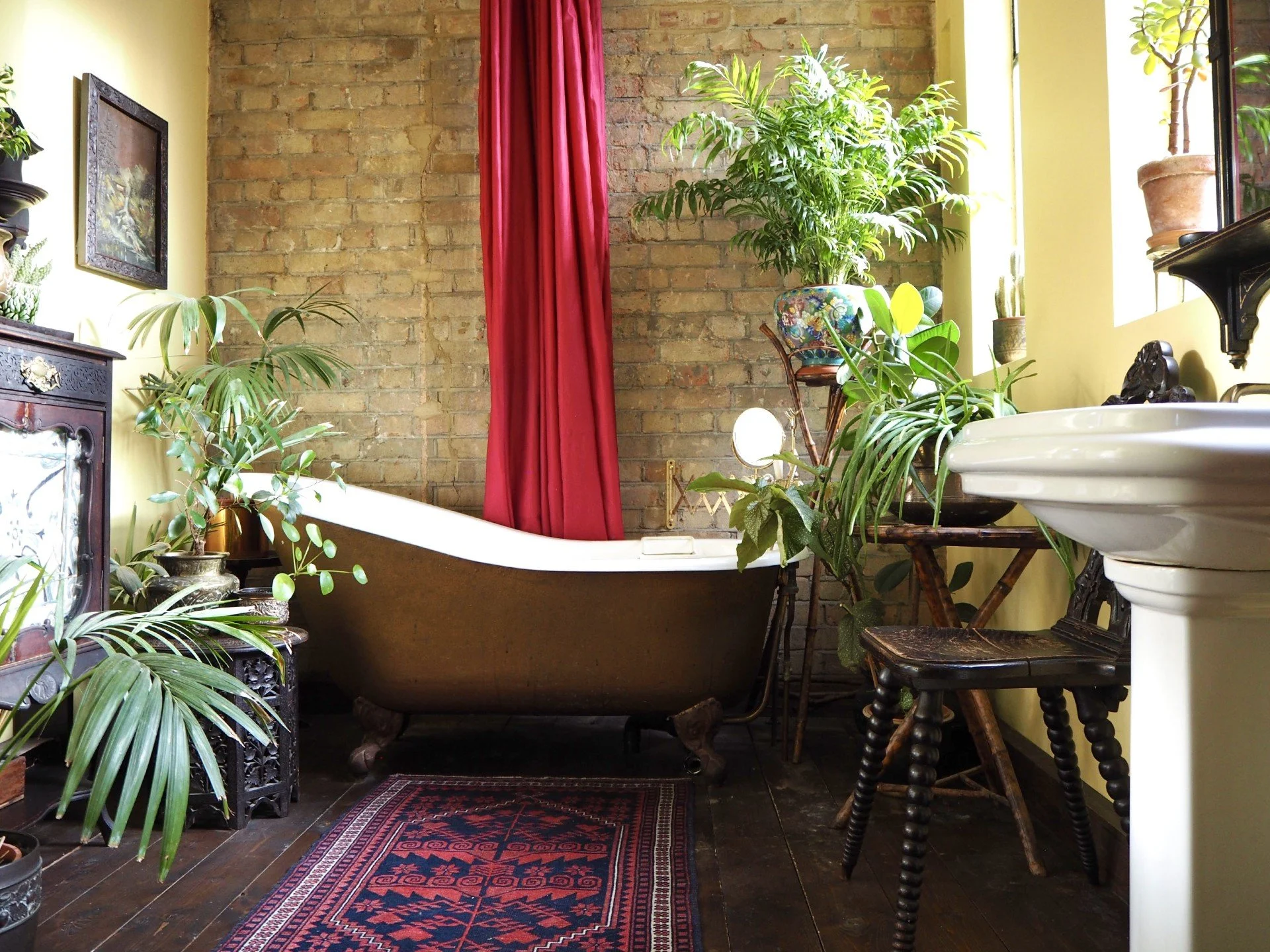 A vintage-style bathroom with a clawfoot tub, surrounded by numerous potted plants, with a brick wall, yellow walls, a red curtain, a mirror, a patterned rug, and antique furniture.