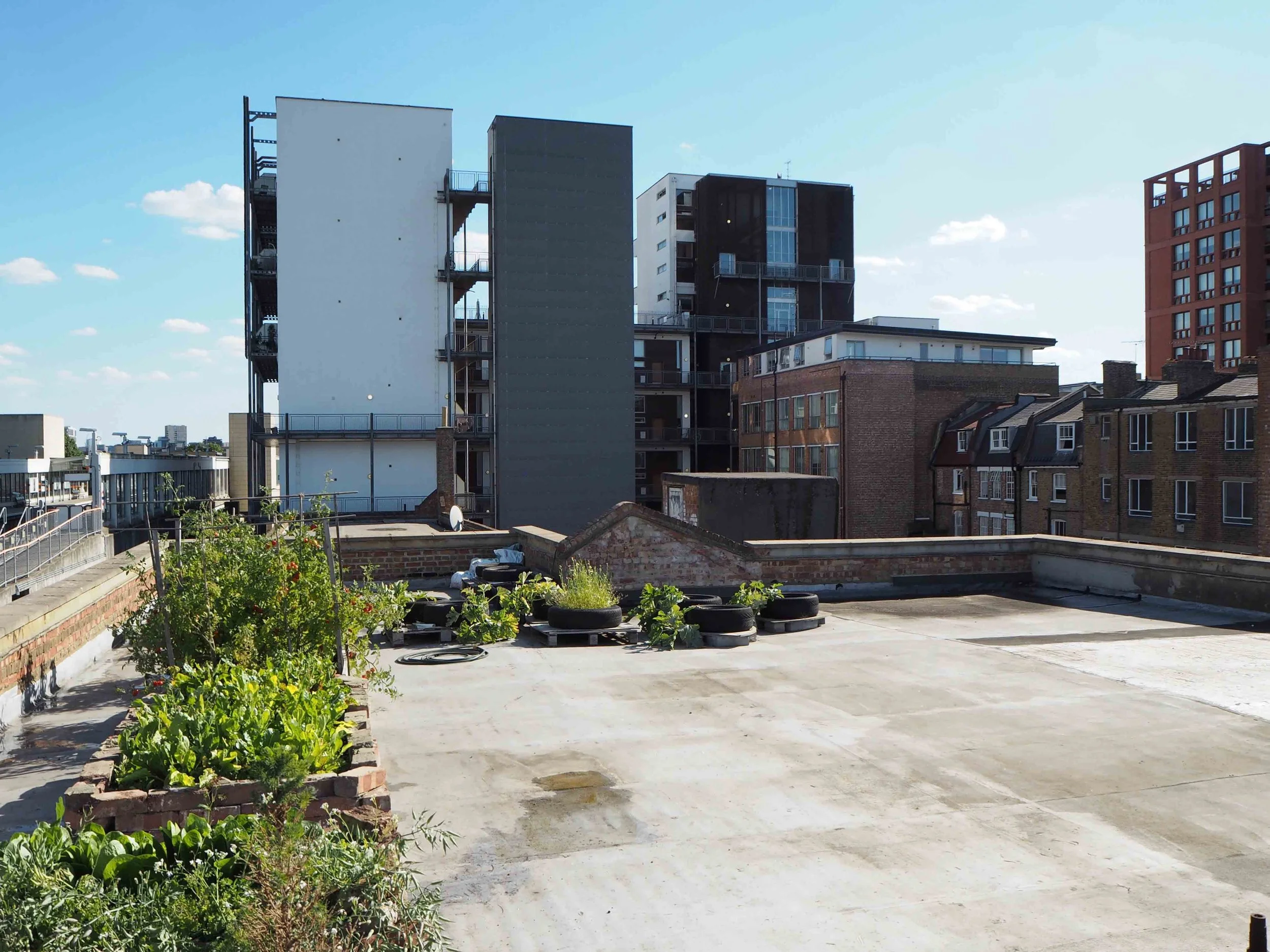 Rooftop garden with plants in raised beds and tires, surrounded by various buildings and skyscrapers under a blue sky with scattered clouds.