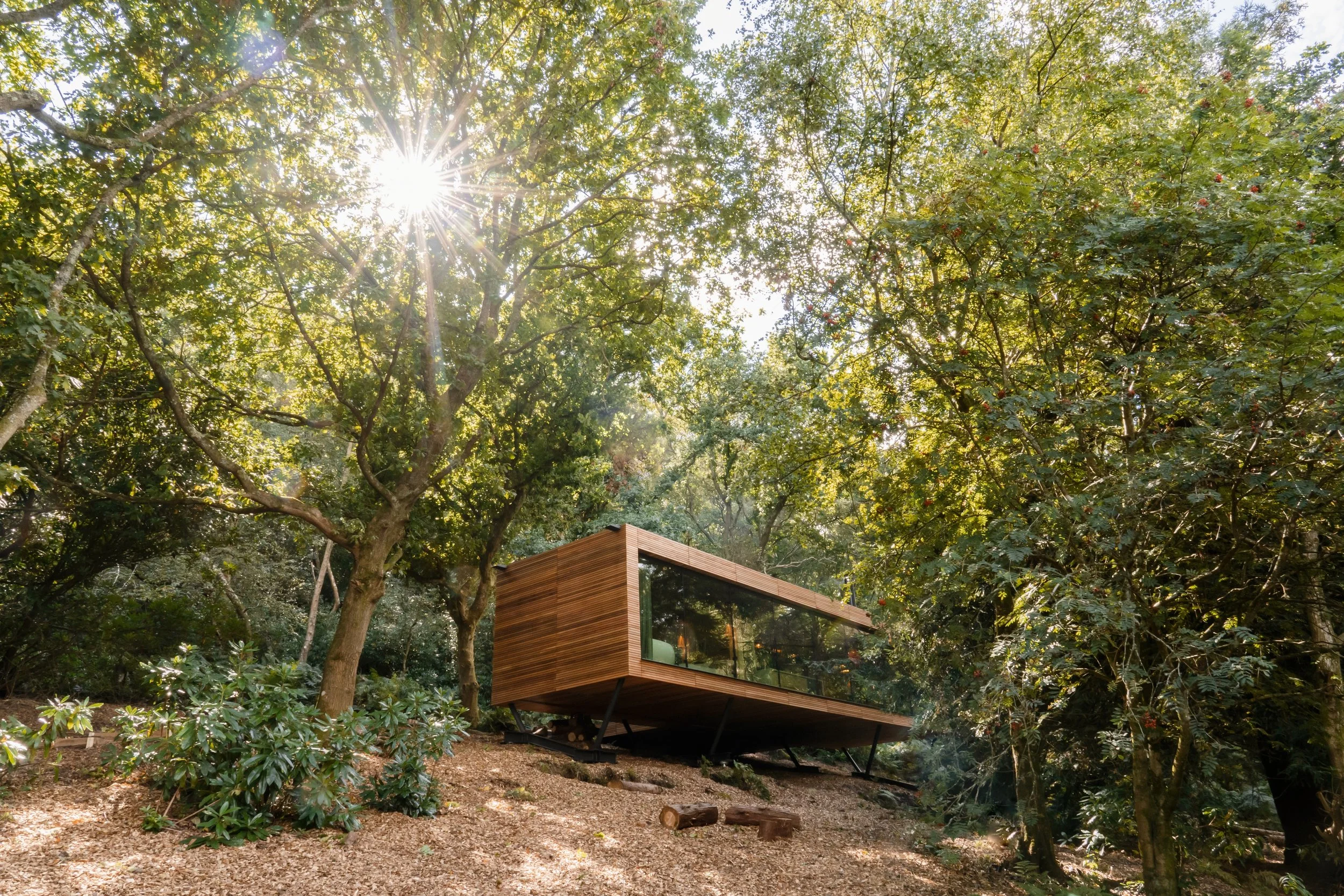 Modern wooden house with large glass windows in a forested area with sunlight filtering through the trees.