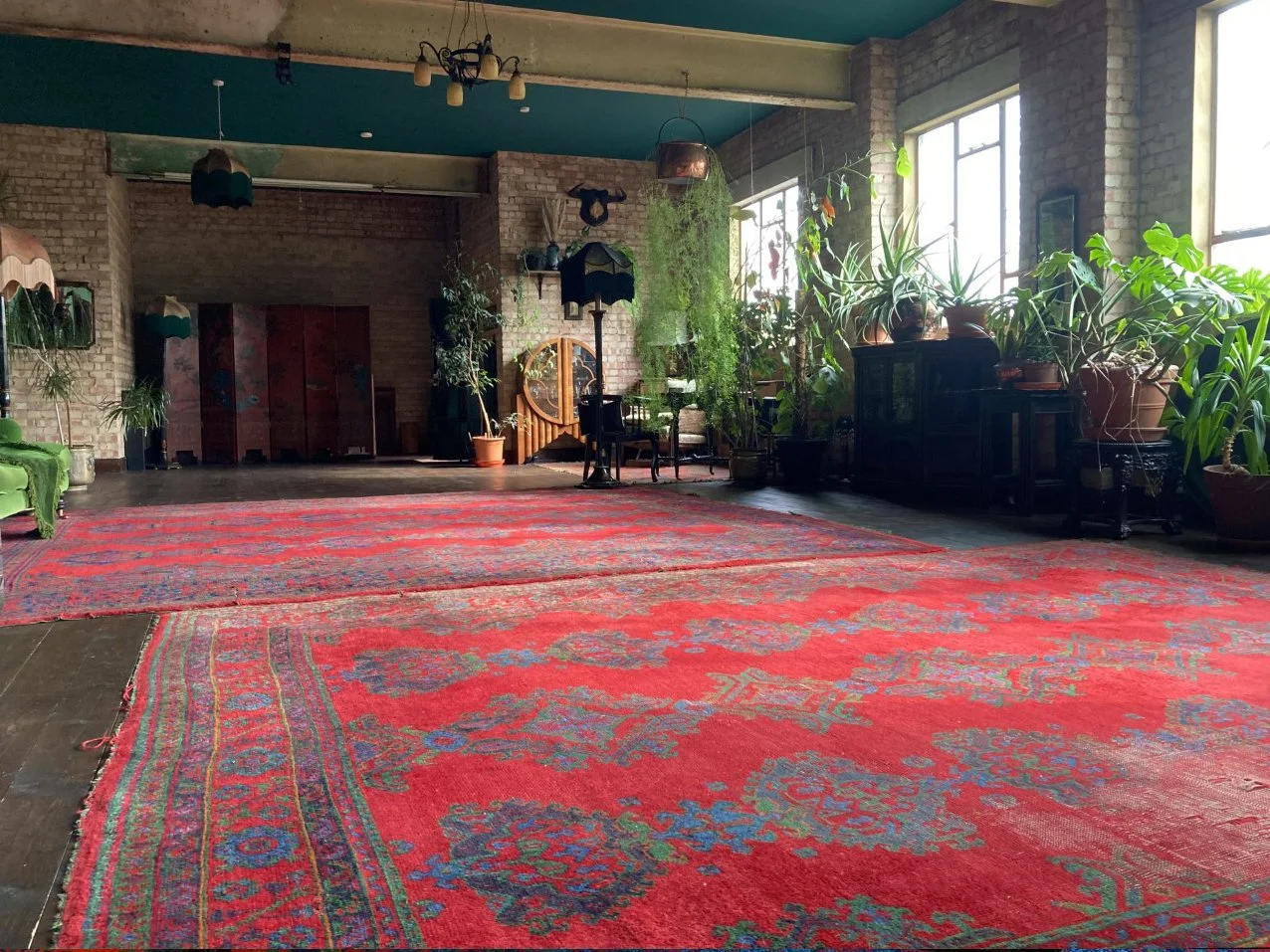 Indoor space with large red patterned rugs on a wooden floor, plenty of green potted plants along windows, and vintage furniture including a black cabinet. Sunlight streams through large windows, illuminating the room's eclectic decor.