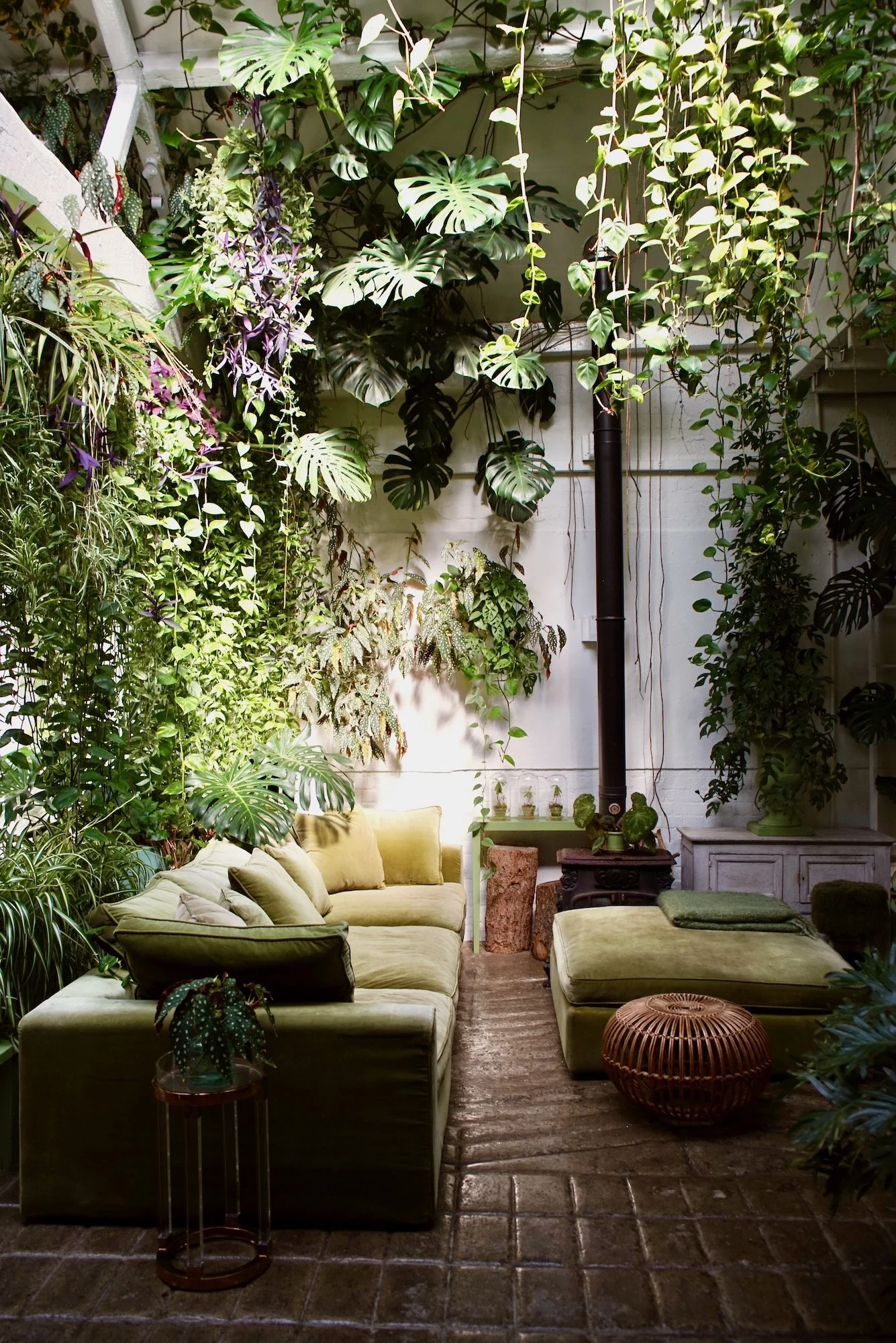 EVE_006

 Location - East London     Size - 1,500 sq ft  

 Plants, Vintage, Stone floor, Botanical, Daylight  
 East London 

 https://images.squarespace-cdn.com/content/v1/64620b0575ea8d4e29a55a87/9e883704-8764-43a5-bae2-9d547241748f/DSC00027.jpeg?