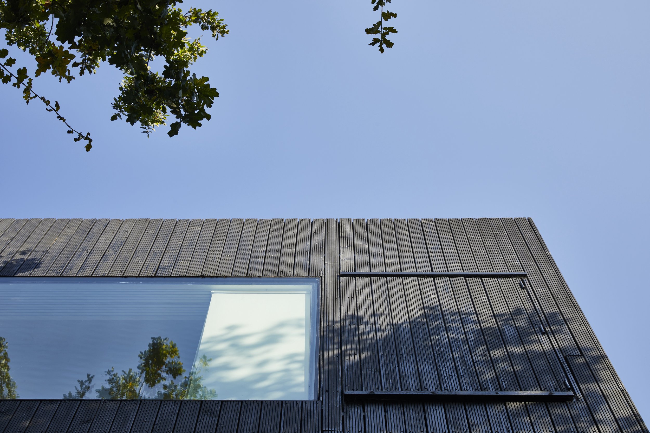 Upward view of a modern building with wooden exterior, large glass window, and blue sky. A tree's shadow is cast on the building.