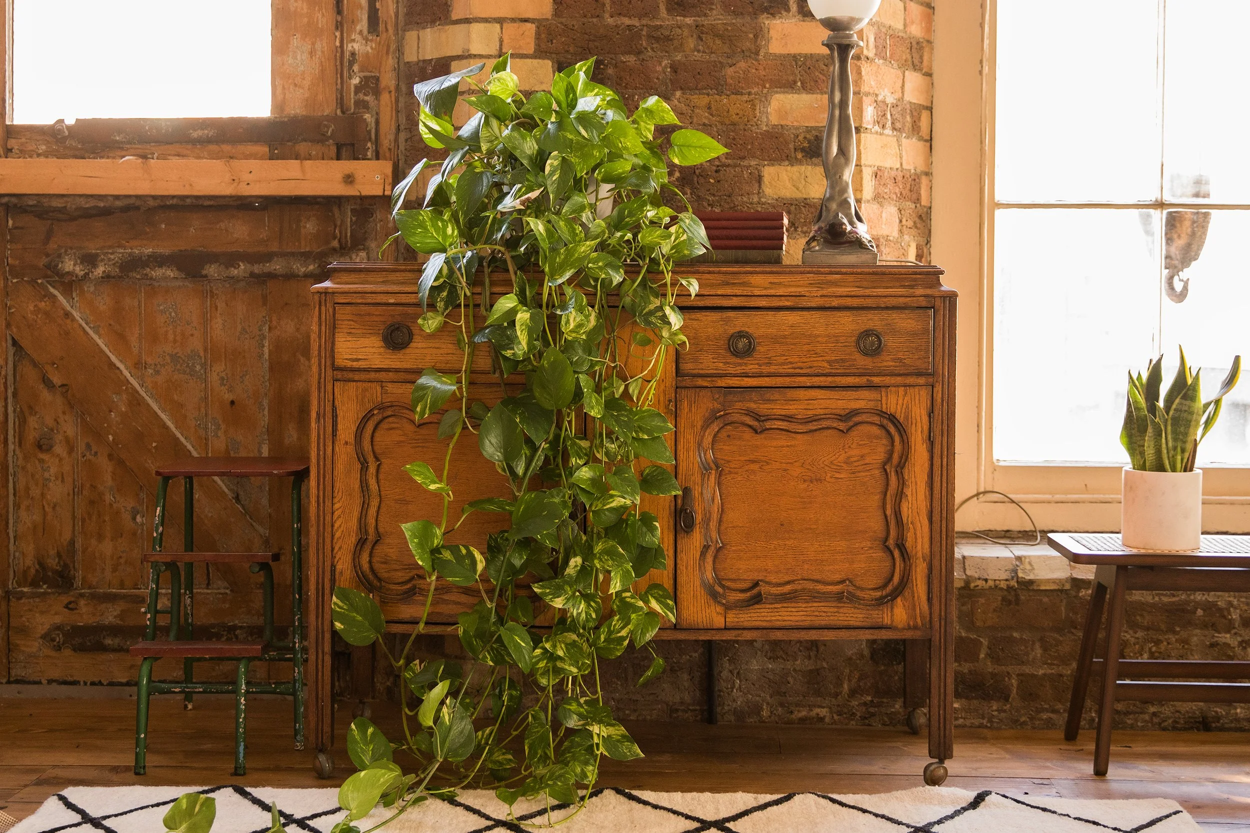 A vintage wooden cabinet decorated with indoor plants and a table lamp on top, set against a brick wall and beside a window letting in natural light.