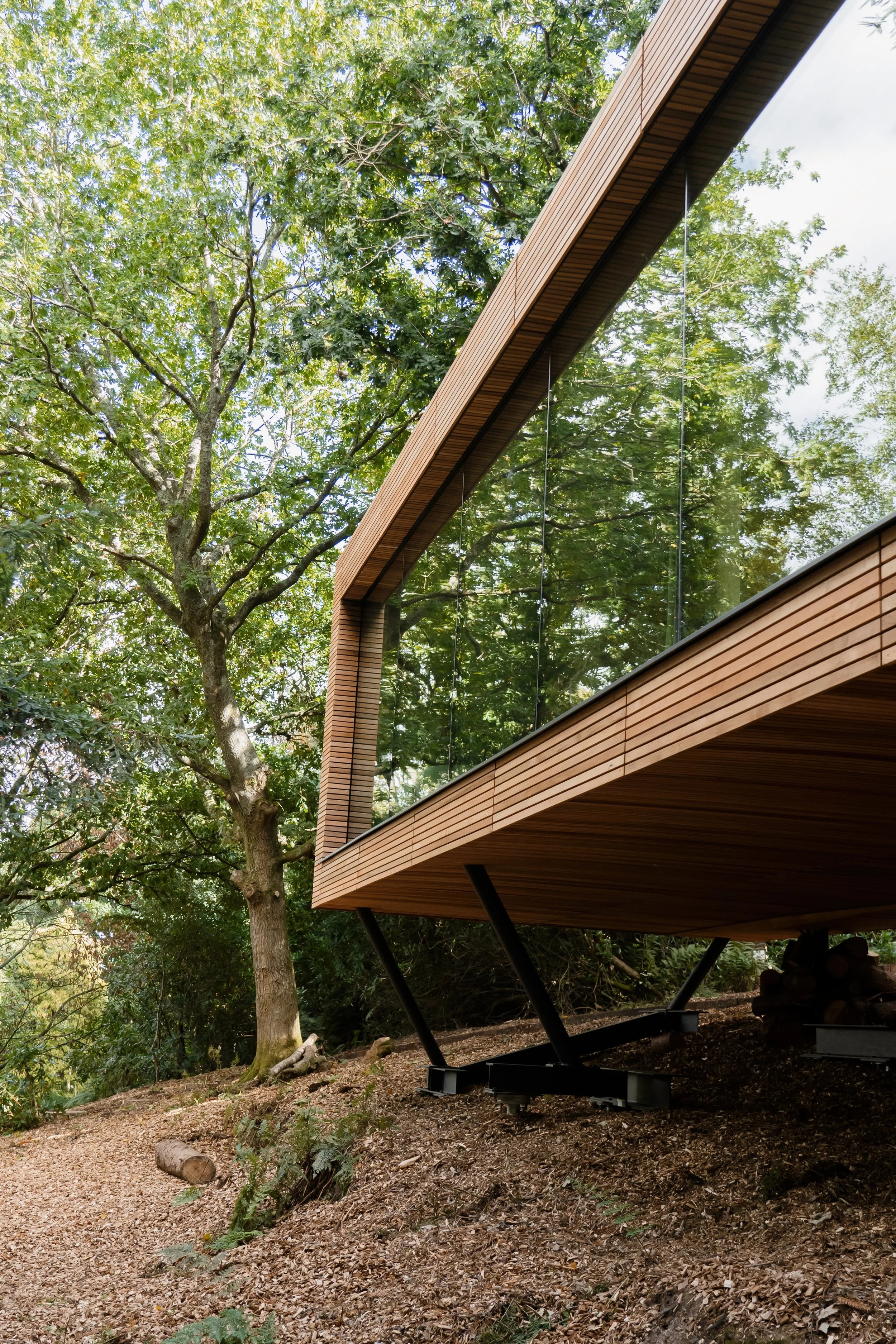 Modern house with large glass windows and wooden accents, elevated on black metal supports, surrounded by trees and wooded terrain.
