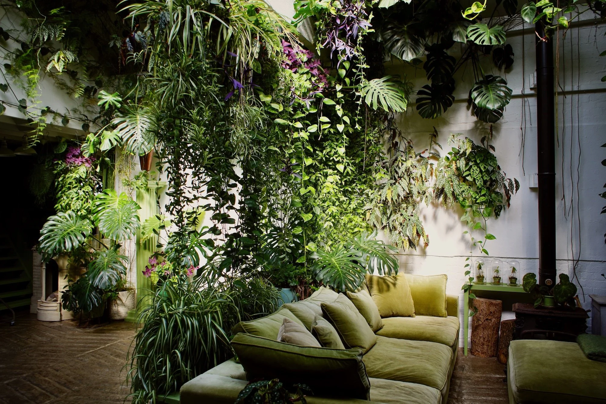 Indoor space with a cozy green velvet sofa surrounded by lush hanging and potted plants, including monstera and spider plants, creating a tropical atmosphere.