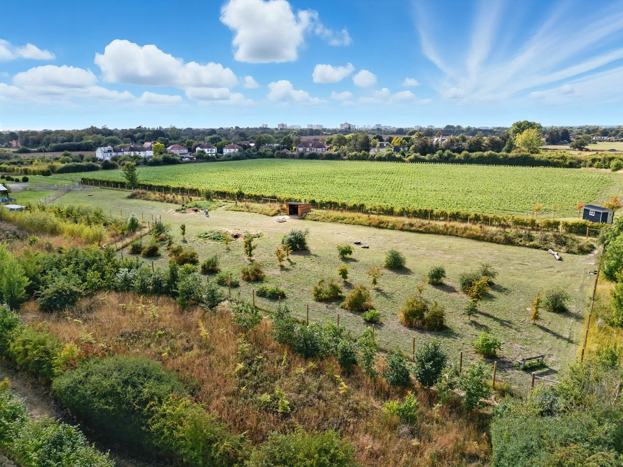 A scenic view of a rural landscape with rows of vineyard or crop fields, scattered trees, houses, and a distant city skyline under a partly cloudy blue sky.