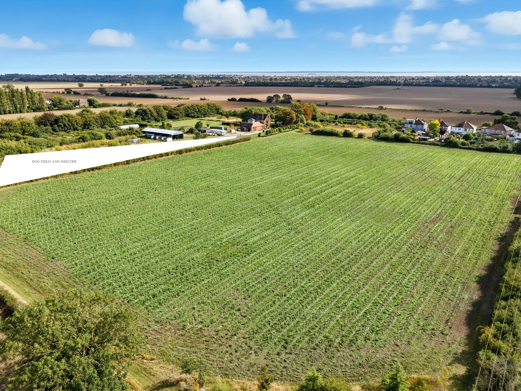 A scenic view of farmland with a large green cultivated field in the foreground, houses along a boundary line, trees surrounding the area, and open fields stretching to the horizon under a partly cloudy sky.