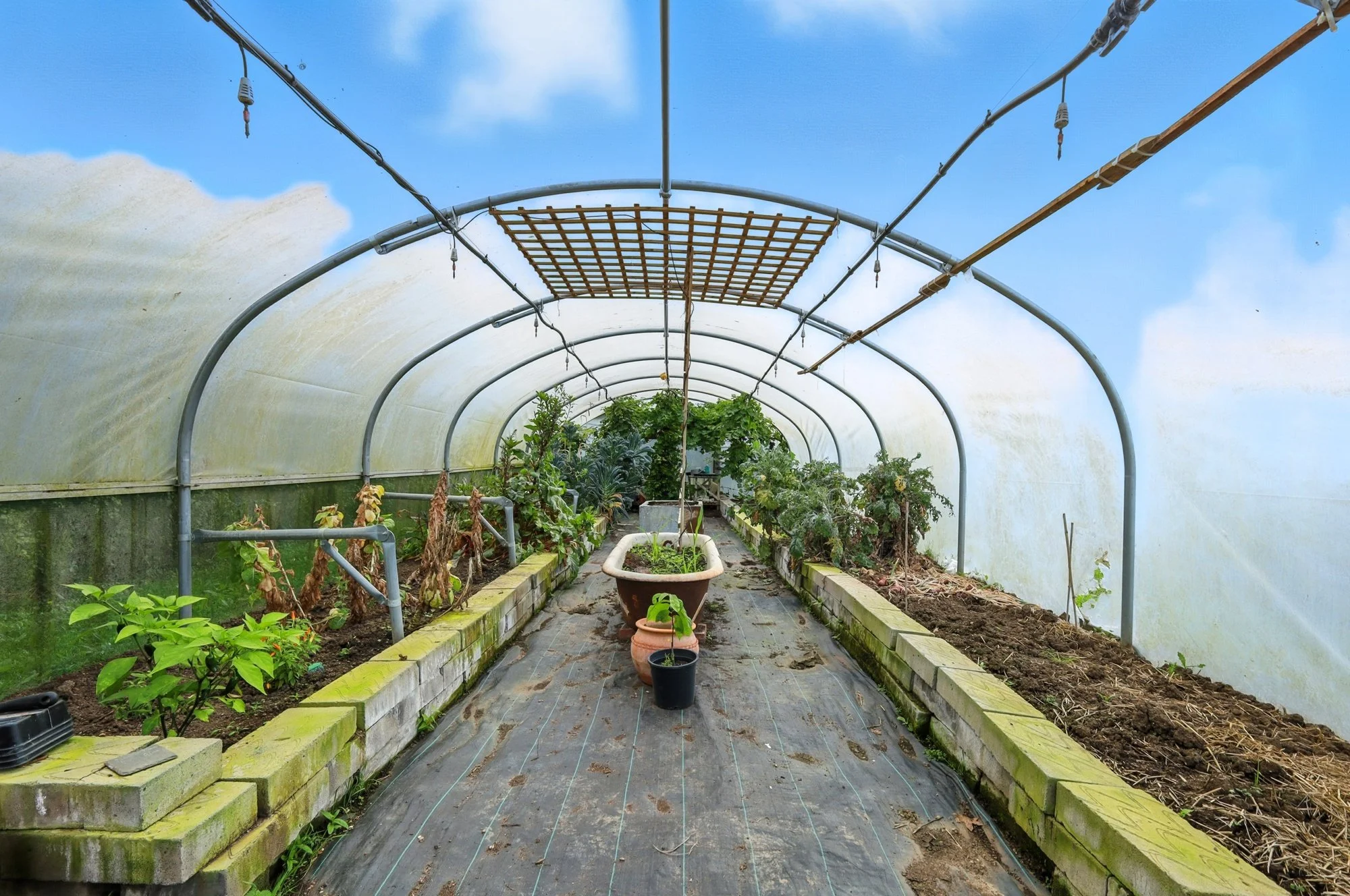 inside a greenhouse with arched transparent roof, containing plants and flowers on either side of a wide aisle, several potted plants, and gardening equipment.