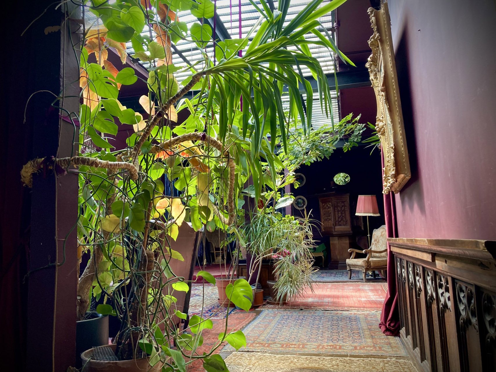 Interior view of a cozy, vintage-style room with multiple potted plants, a patterned rug, a wooden chair, and a standing lamp with a pink lampshade. There is a gold ornate mirror on the wall and a window with blinds allowing natural light to brighten