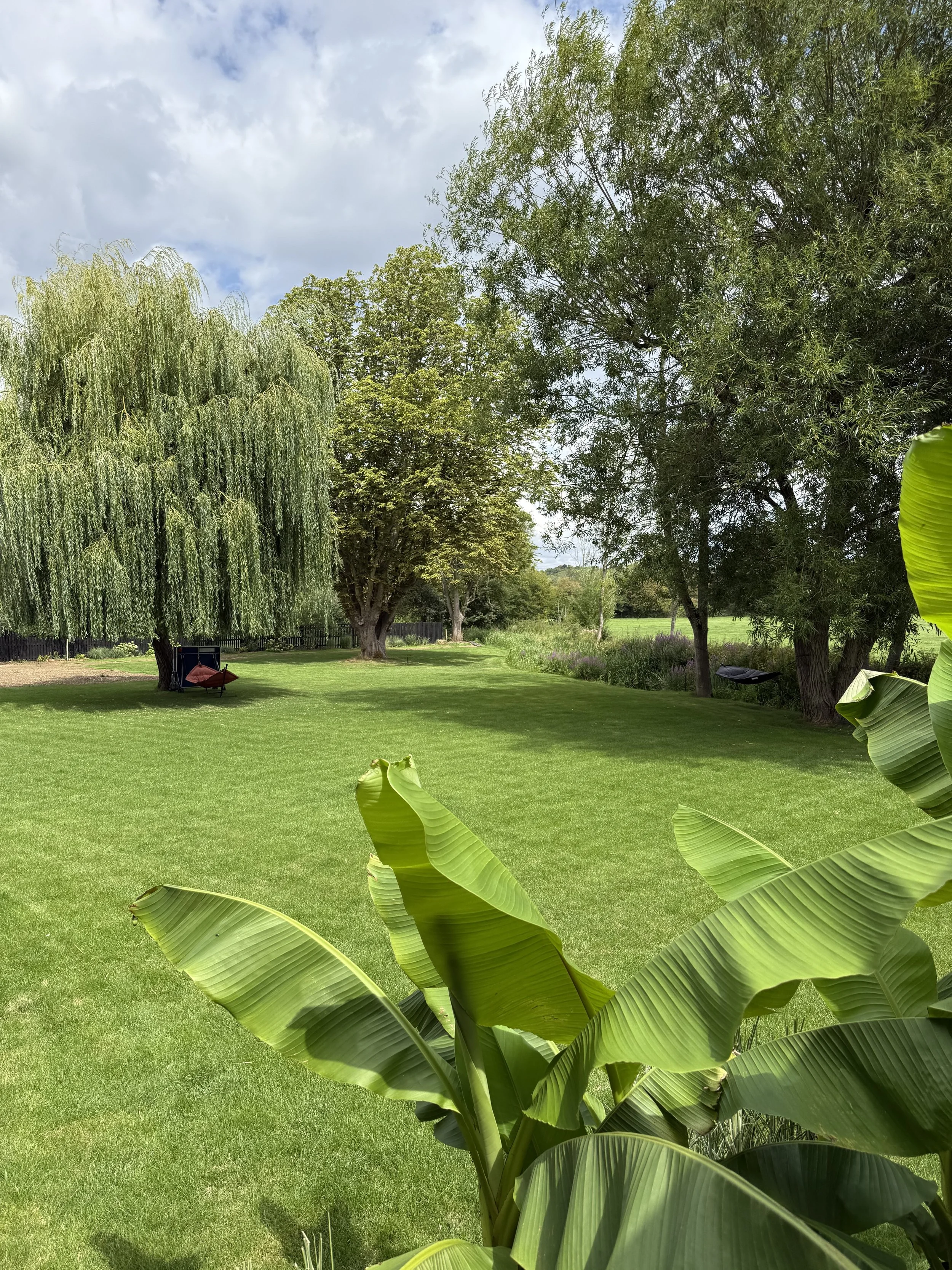 A lush, green backyard with well-maintained grass, large leafy trees, and a hammock. Overcast sky with some clouds.