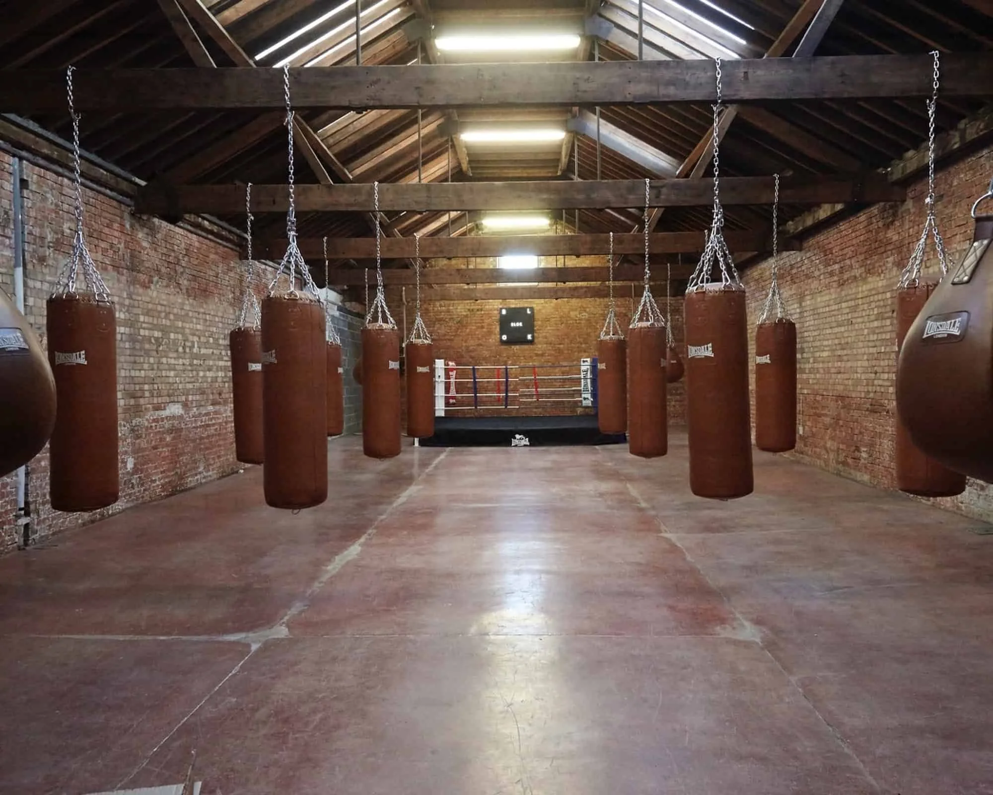 An empty boxing gym with a boxing ring in the back and punching bags hanging from the ceiling.