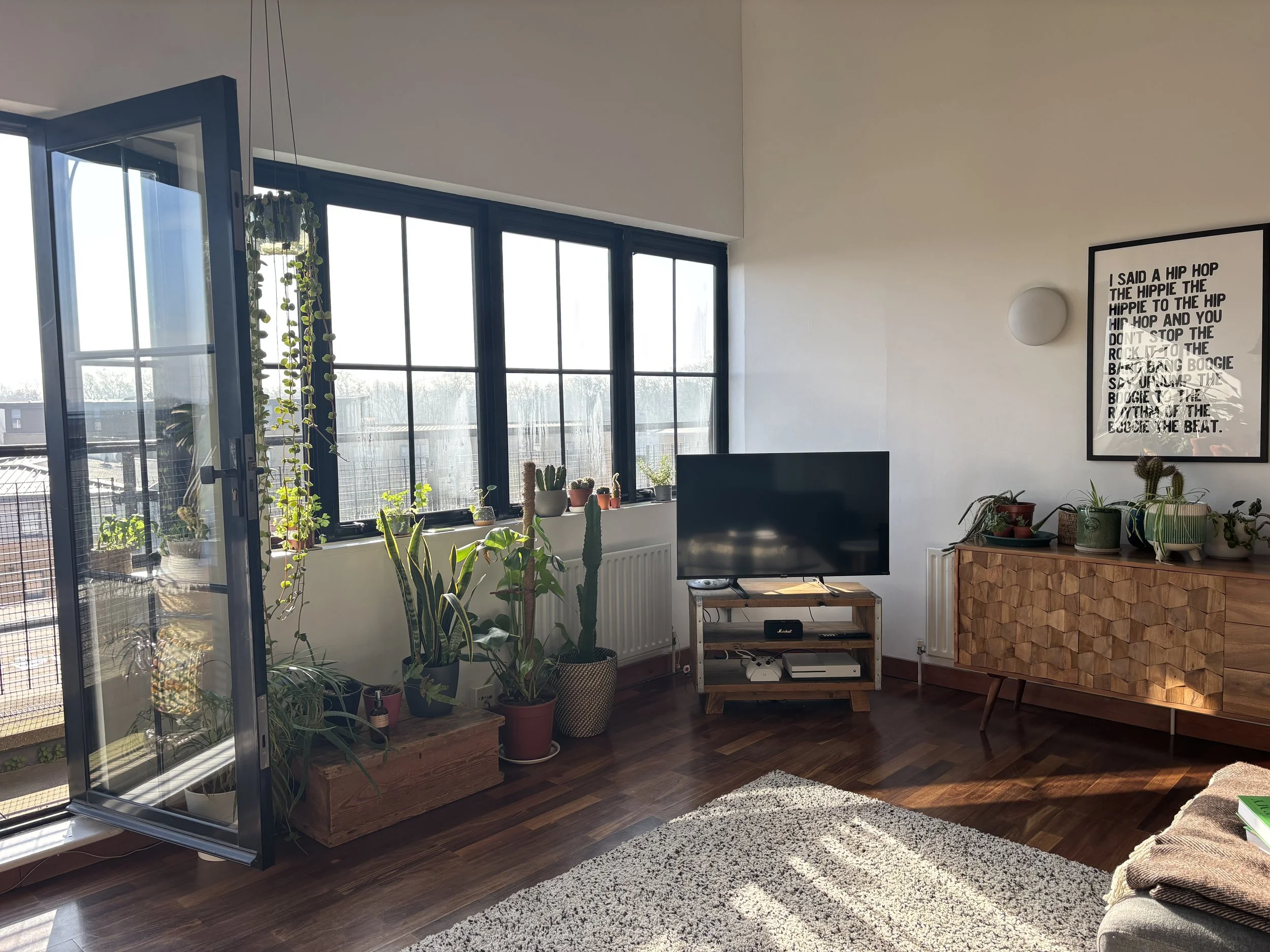 Living room with large windows, potted plants near the window, a TV on a small stand, a wooden sideboard with plants, a wall art, and a cream-colored rug on dark wooden floor.