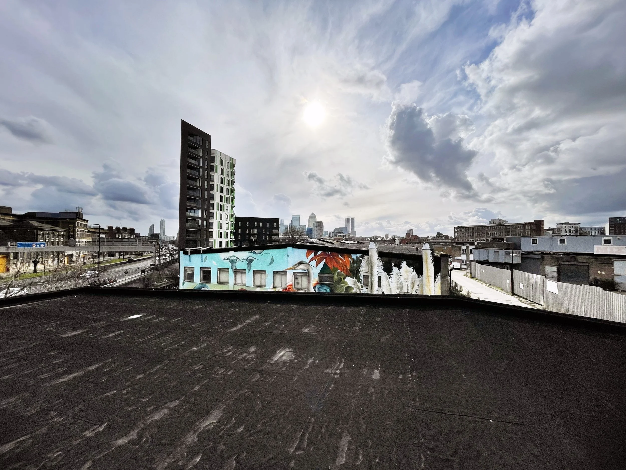 Cityscape with modern buildings and vibrant mural on one building, cloudy sky with sunlight peeking through, viewed from a rooftop