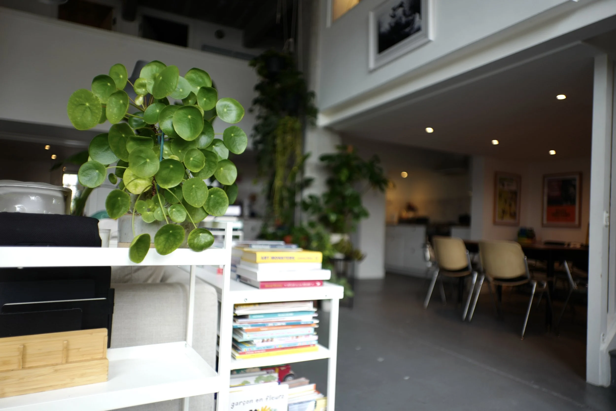 Interior of a home with a large potted plant with round leaves on a white cart, a stack of books, and a dining area with chairs and framed art on the walls.