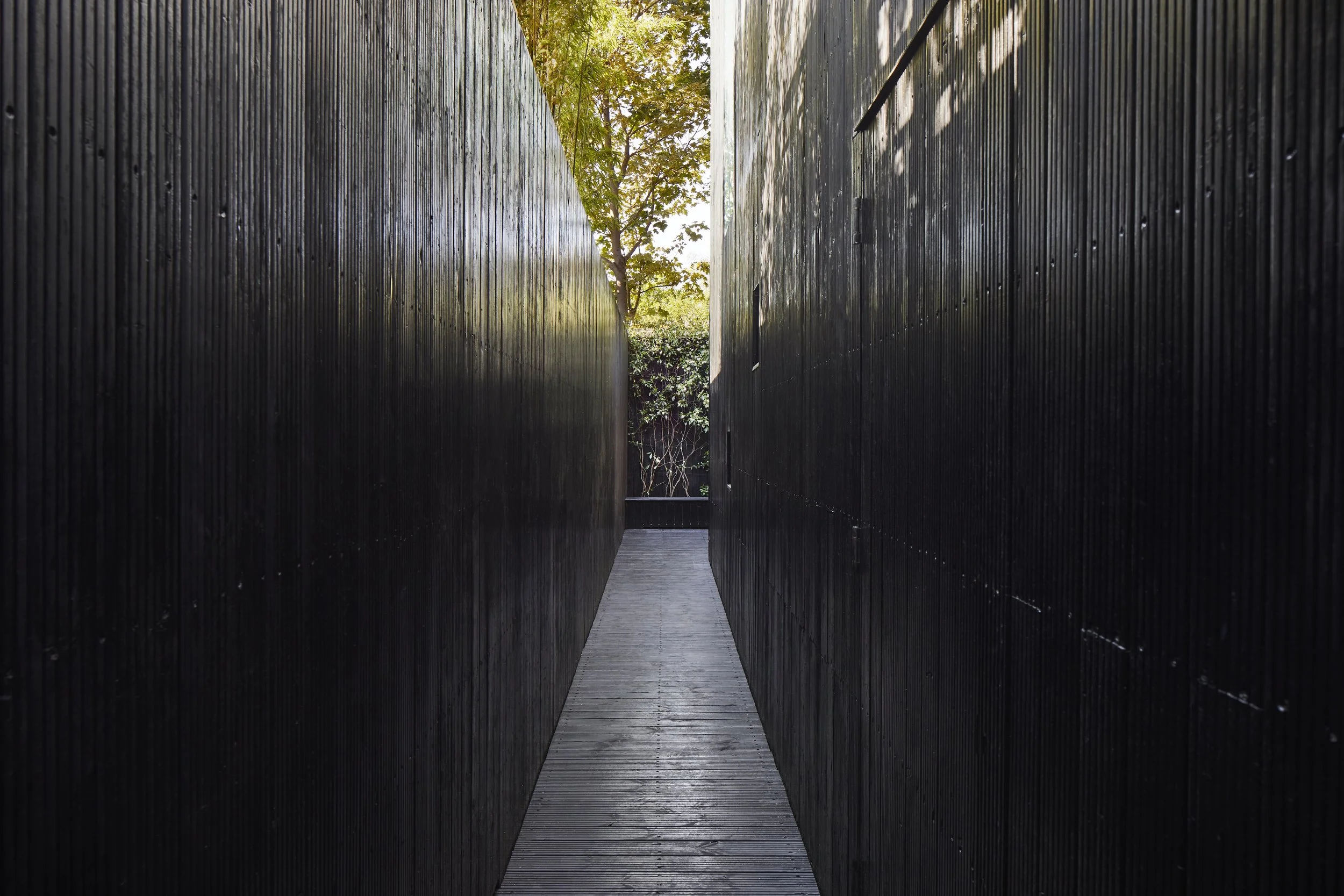 A narrow pathway between two black wooden walls with a tree and greenery visible at the end of the walkway.