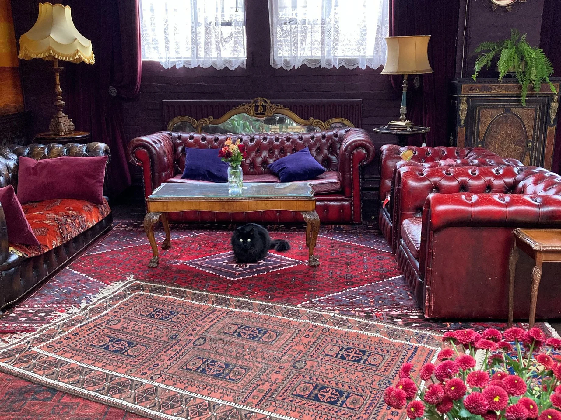 A room with vintage furniture, including red leather sofas, a wooden coffee table, and patterned rugs on the floor. There are cushions on the sofas, a glass vase with flowers on the table, and a black cat sitting on the rug. The room has dark brick w