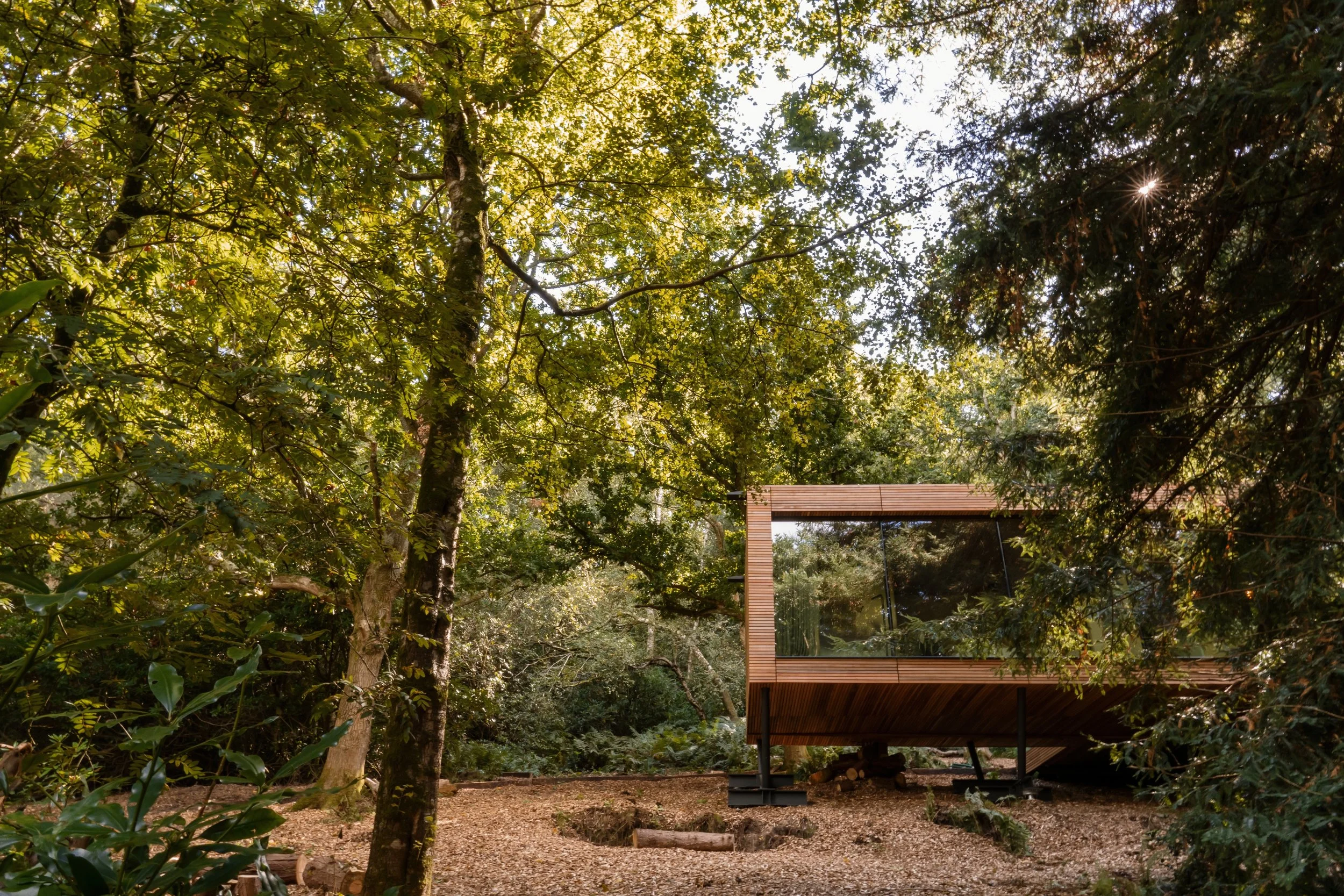 A modern wooden house with large glass windows is situated among lush green trees in a forest. The house is elevated on stilts, with a ground covered in gravel and a few logs around.