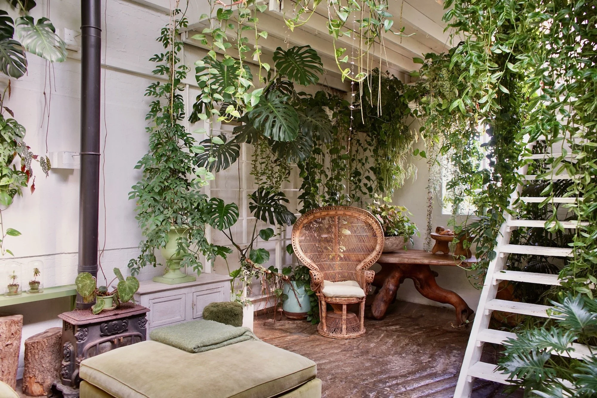 Indoor garden with lush green plants, a wicker chair, a stone bench, and a rustic wooden table in a cozy corner.