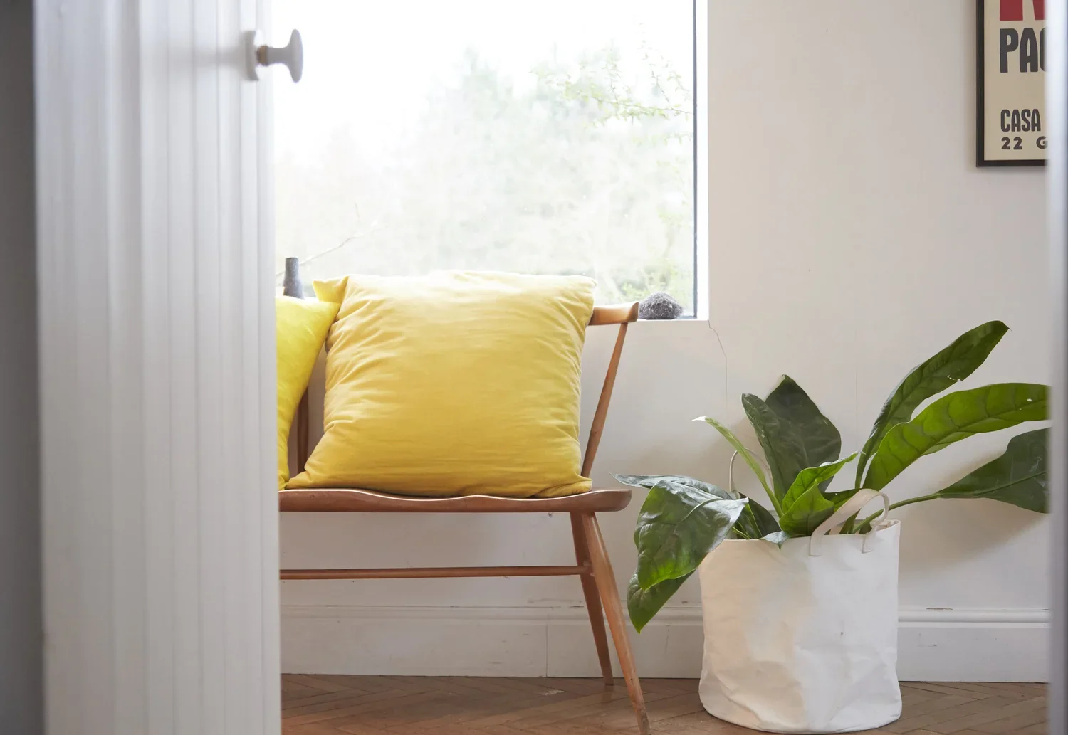 A cozy interior corner featuring a wooden chair with bright yellow pillows, a large green leafy plant in a white pot, a window with natural light, and framed wall art