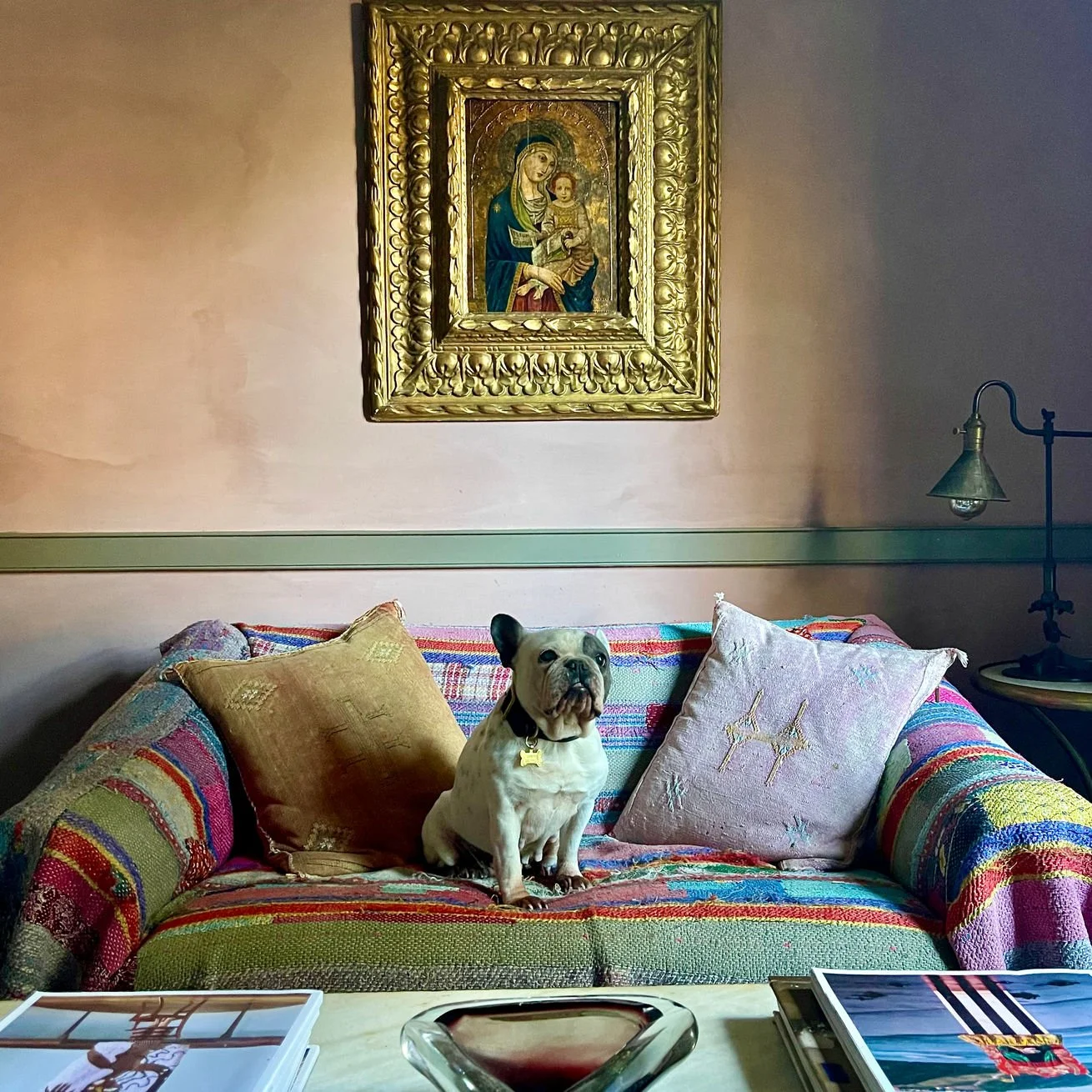 A small dog, possibly a French Bulldog, sitting on a colorful, patterned sofa with cushions. Behind the sofa is a pink wall with a framed portrait of the Madonna and Child. To the right, there is a small table with a lamp.