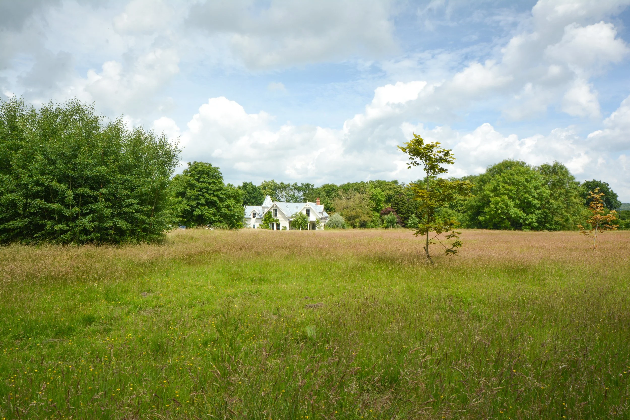A large grassy field with some trees and a white house in the distance under a partly cloudy sky.