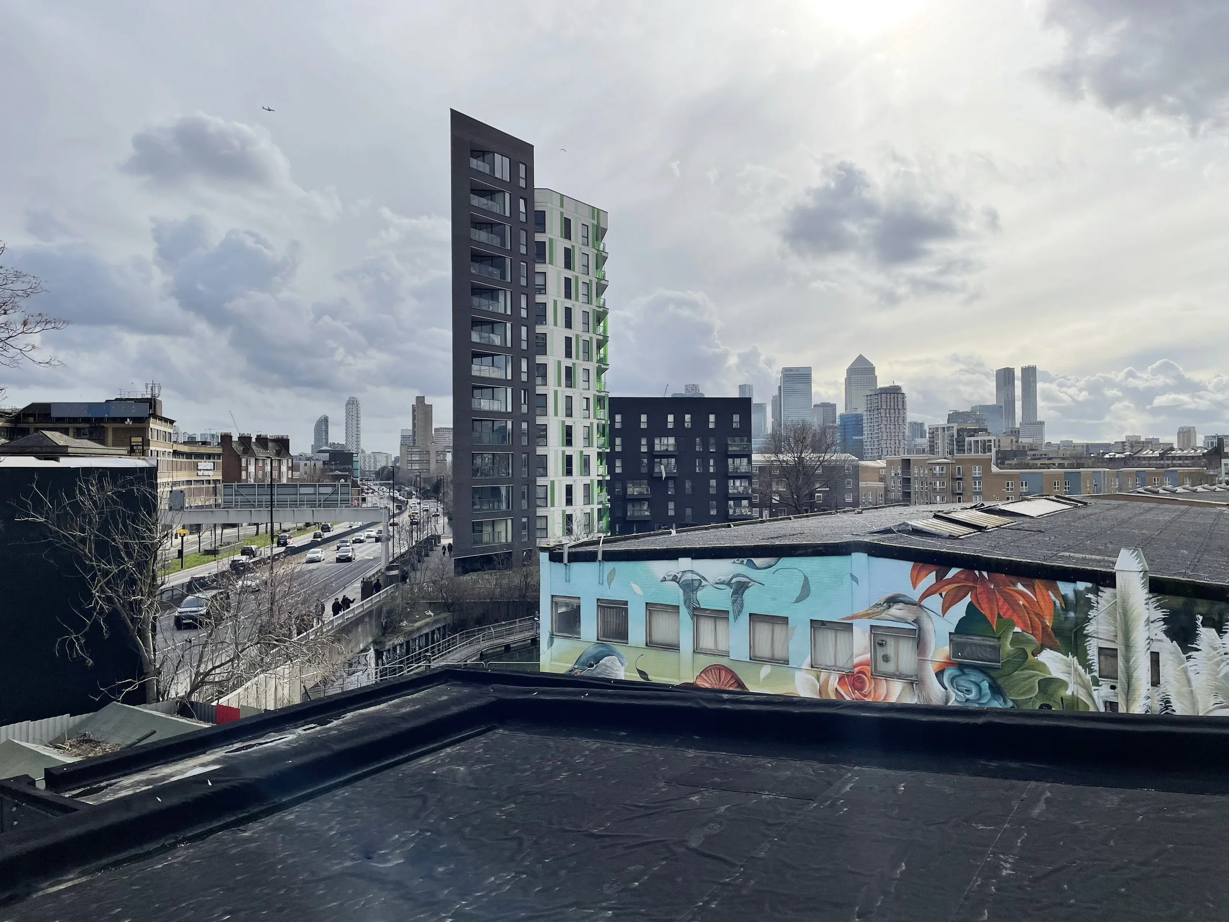 City skyline with tall modern buildings and cloudy sky, mural on a building wall depicting dolphins and foliage, view from rooftop.
