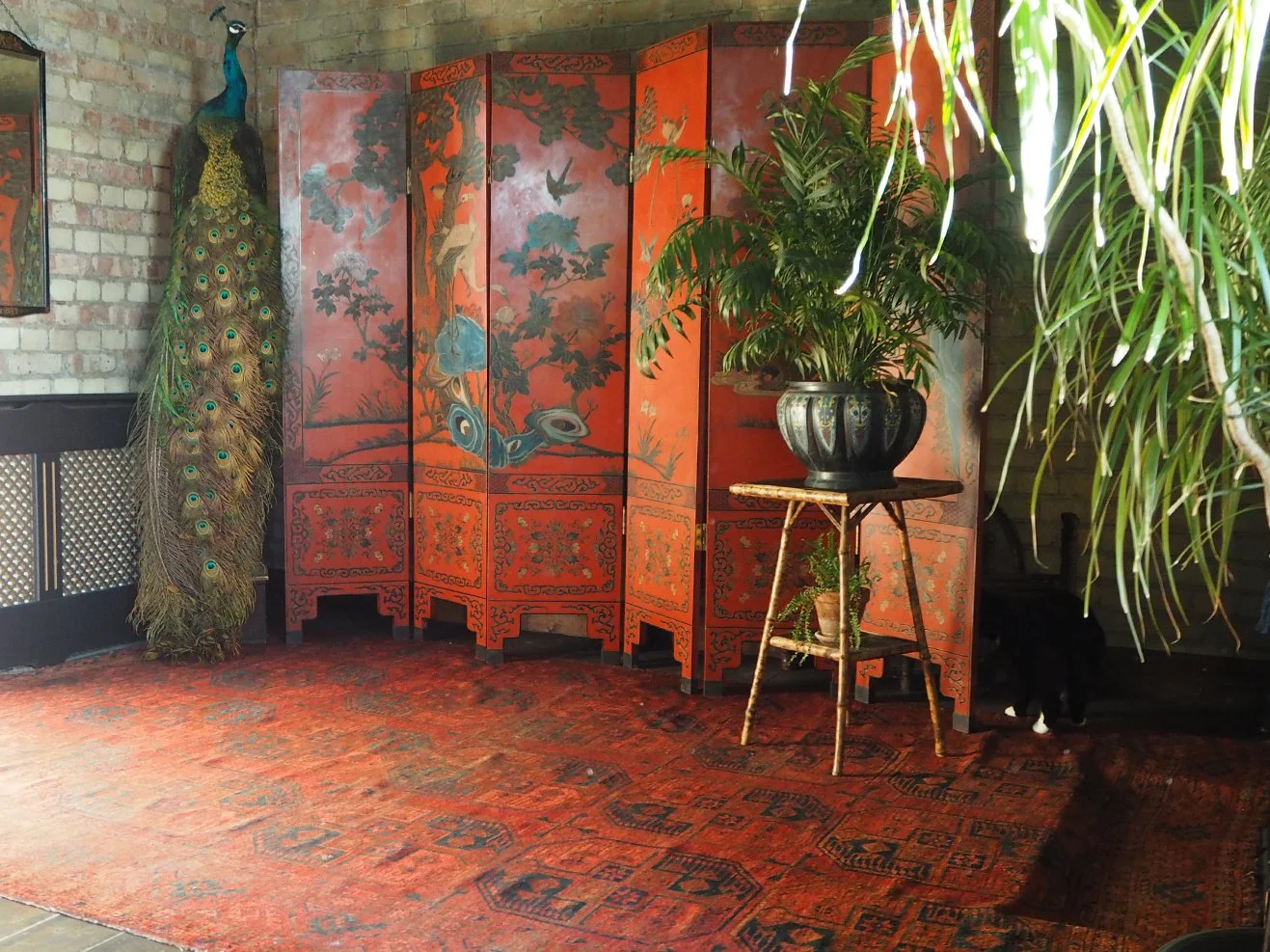 A decorative vintage room corner features a peacock with vibrant blue and green feathers standing next to a red Asian-style folding screen with painting of trees, birds, and flowers. A large potted plant with lush green foliage sits on a small wooden