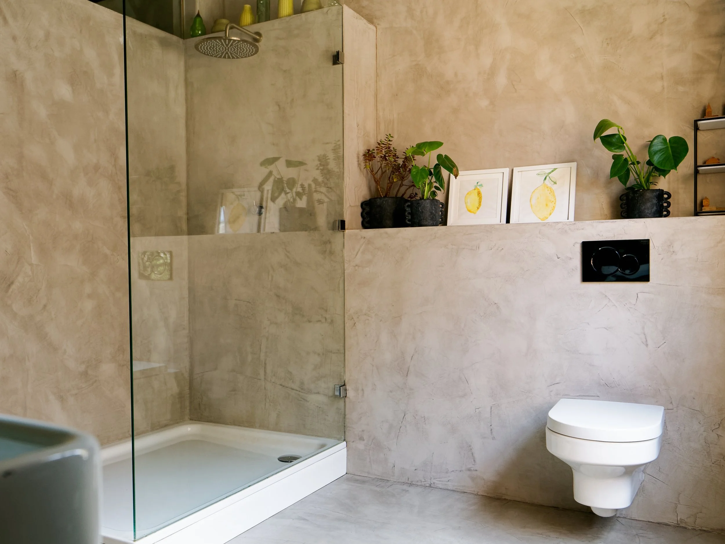 Modern bathroom with a glass-enclosed shower on the left, plants and framed artwork on a shelf, and a wall-mounted toilet on the right.