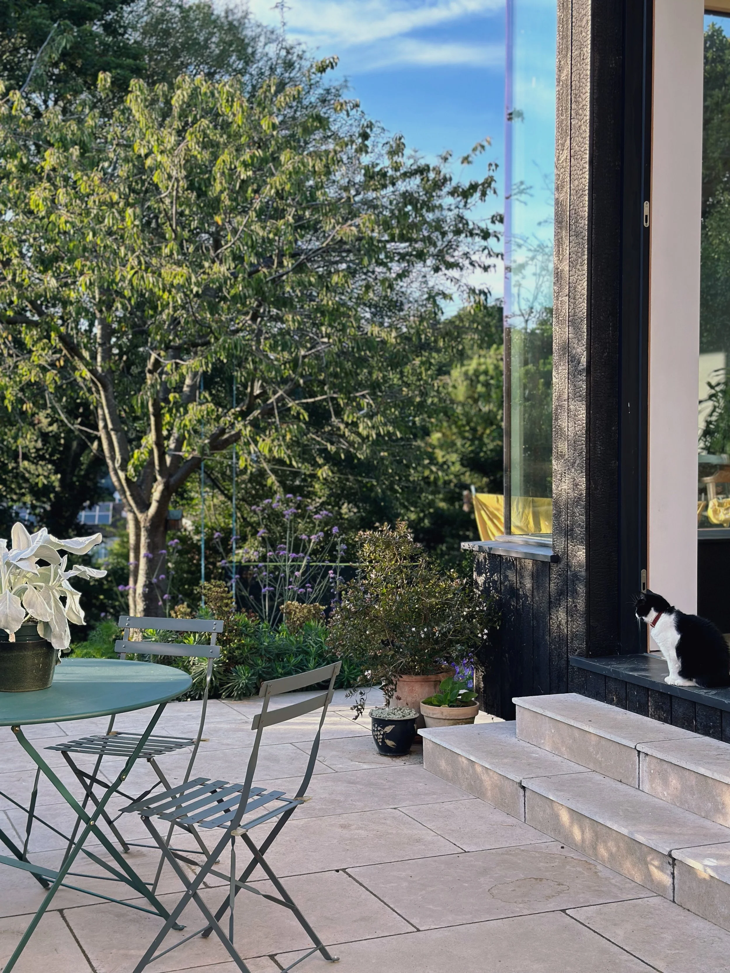 A black and white cat sitting on the porch steps of a house, looking outside at a lush garden with trees and potted plants, during clear weather.