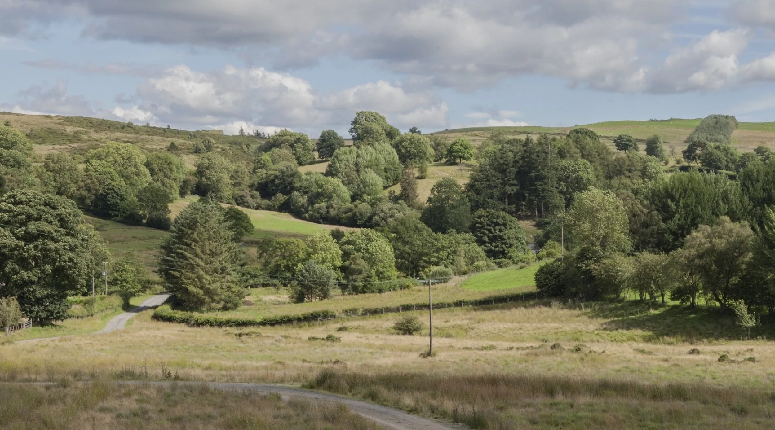 A scenic view of rolling green hills with various trees and a winding dirt road under a partly cloudy sky.