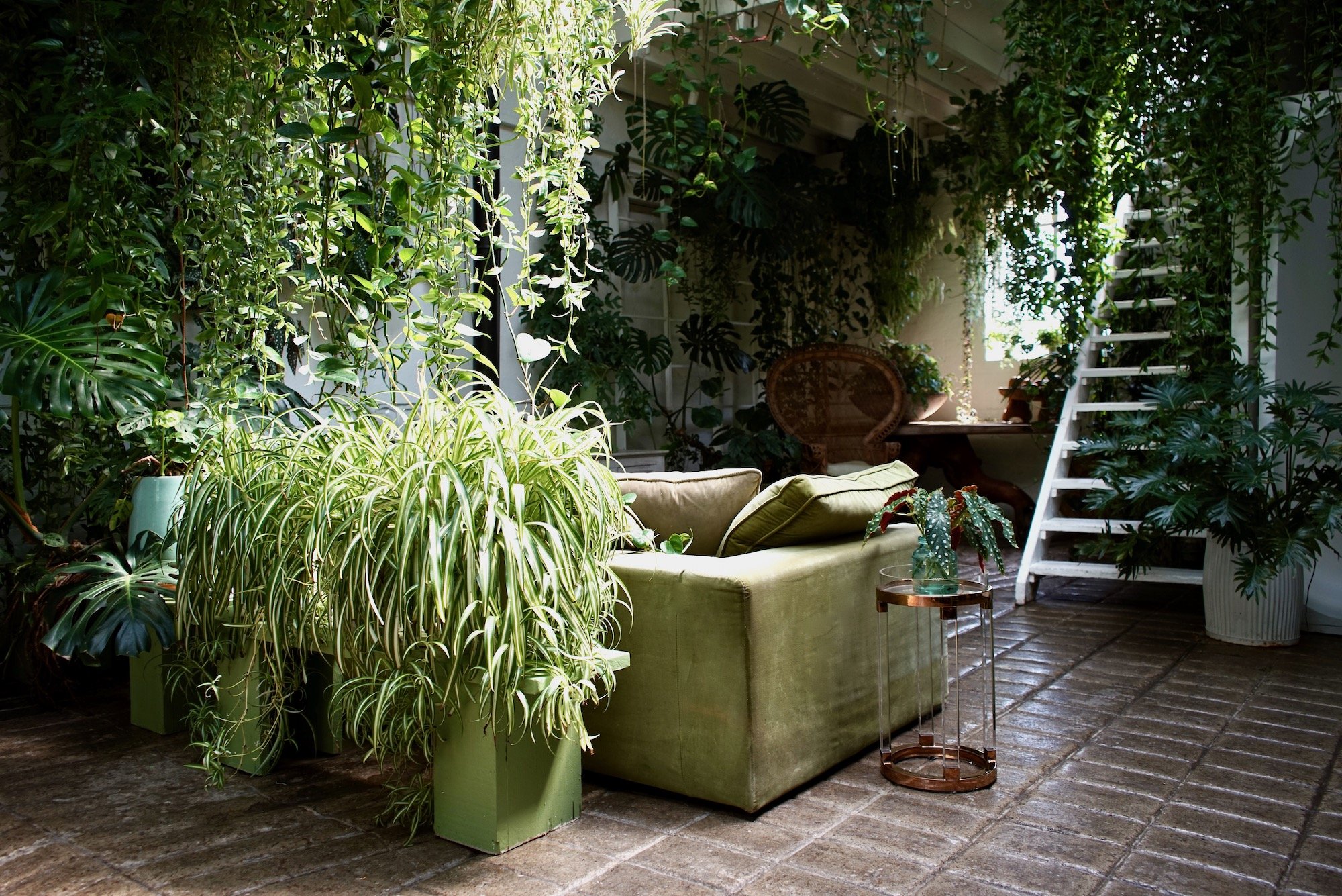 Living room with abundant green plants, featuring a green velvet sofa, a small round table with a cactus, and a staircase leading to an upper level with sunlight streaming in through the window.