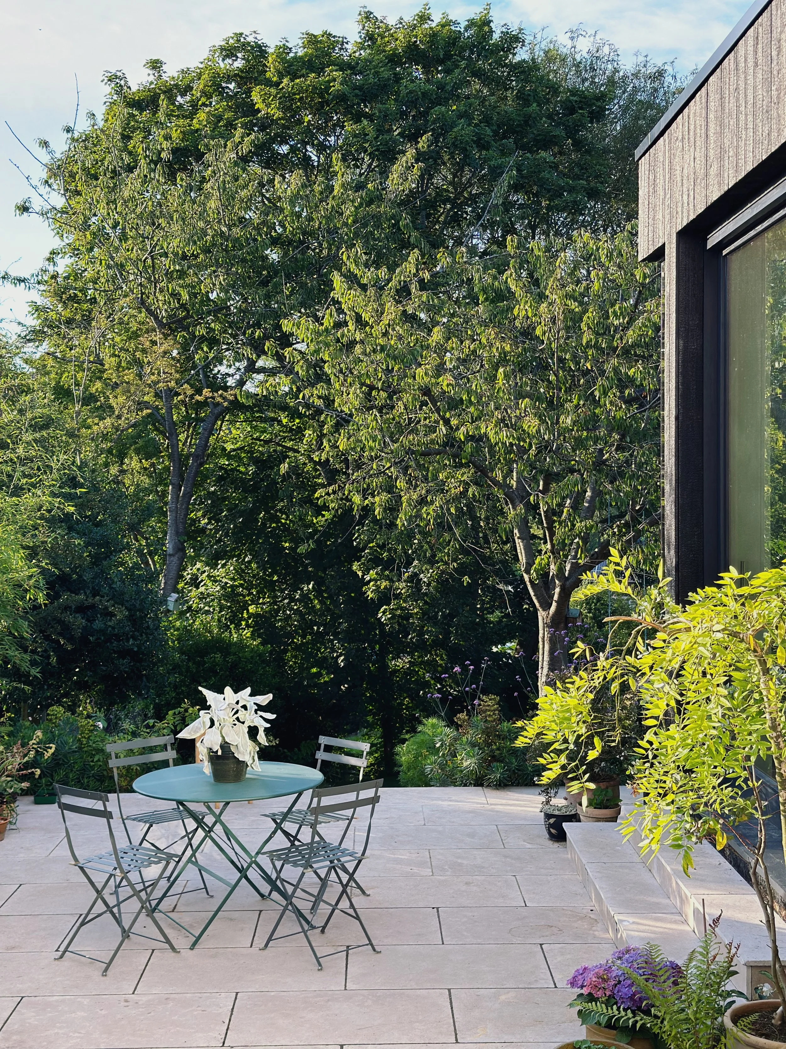 A backyard patio with a round metal table and chairs, a potted plant on the table, and various potted plants along the edge. Tall trees and lush greenery in the background, with a house or building on the right side.
