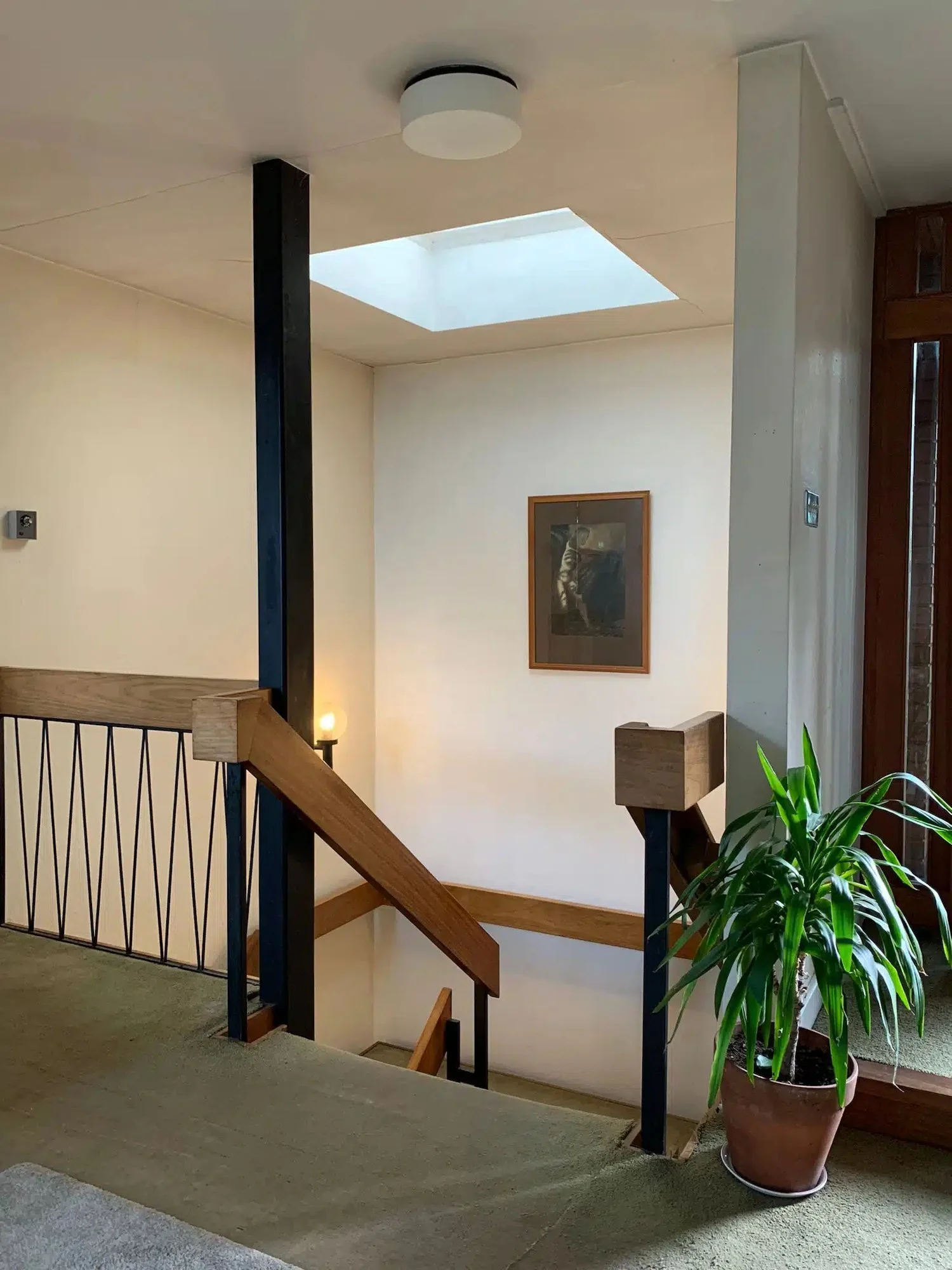 Indoor area with a staircase, potted plant, framed picture on cream wall, skylight, ceiling light, and wooden accents.