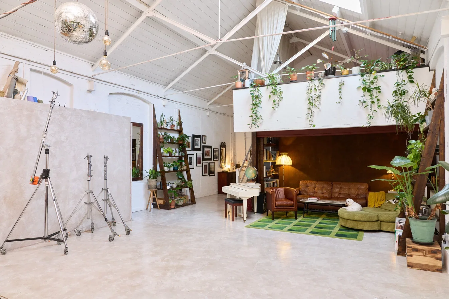 Interior of a stylish living space with white walls and high ceilings, decorated with plants, framed pictures on the wall, and a seating area with couches and a green rug.