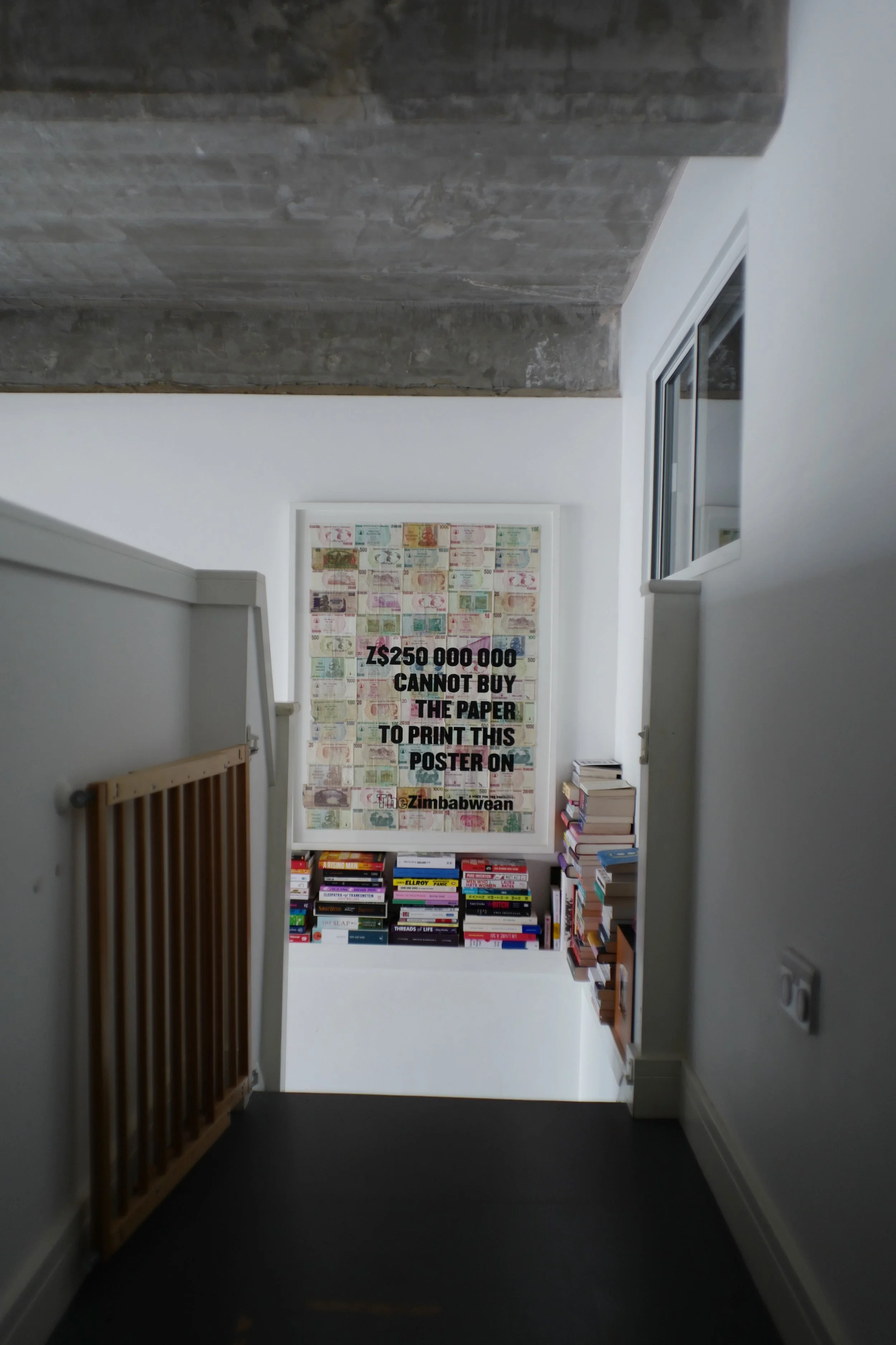 A framed poster of Zimbabwean banknotes with overlaid text stating the cost of printing the poster is 250 million Zimbabwean dollars, which cannot buy the paper to print it.