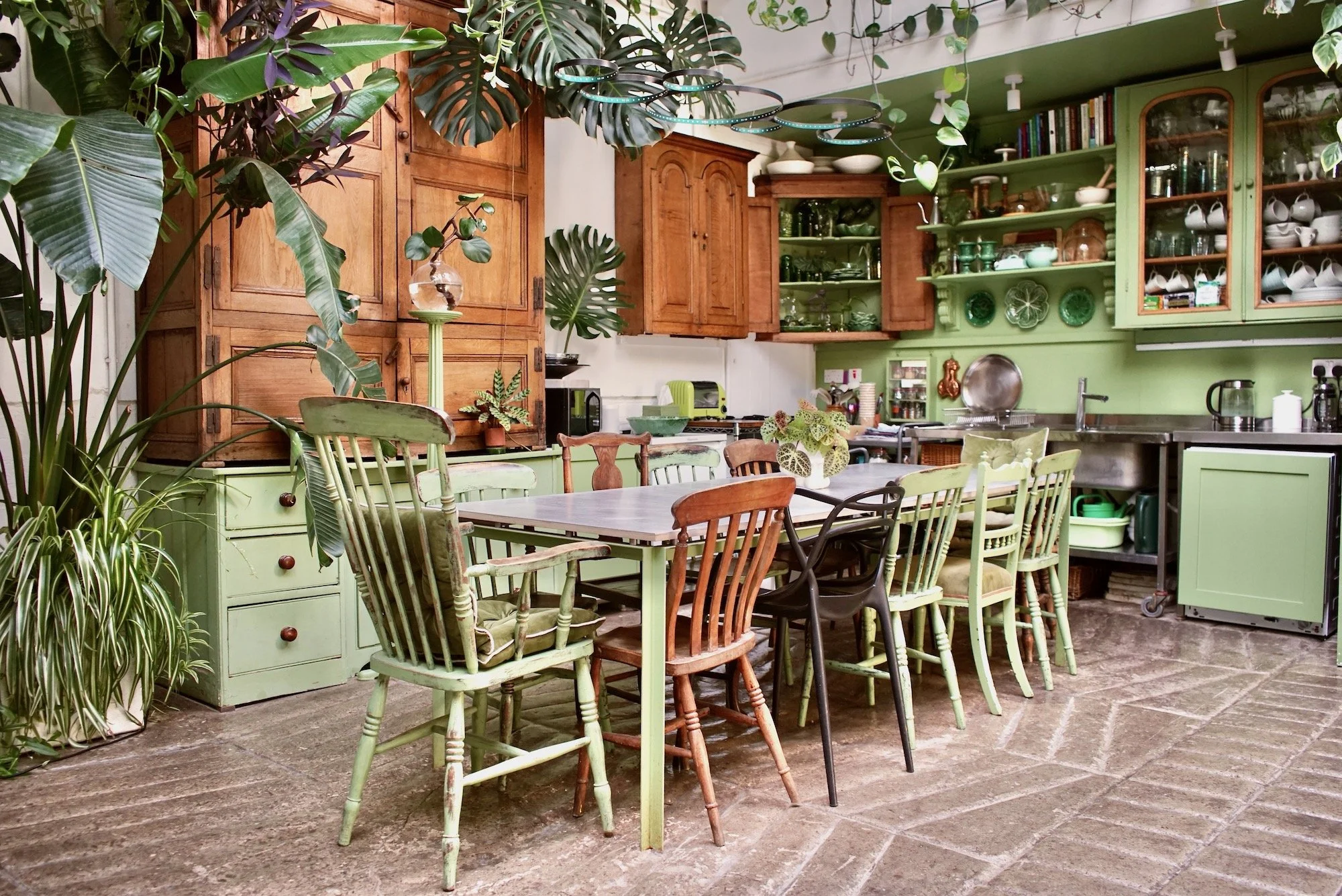 A cozy kitchen with a large wooden dining table surrounded by mismatched chairs, some painted green and others natural wood. The space features wooden cabinets, green open shelves displaying dishes, and numerous green plants including large-leaf mons