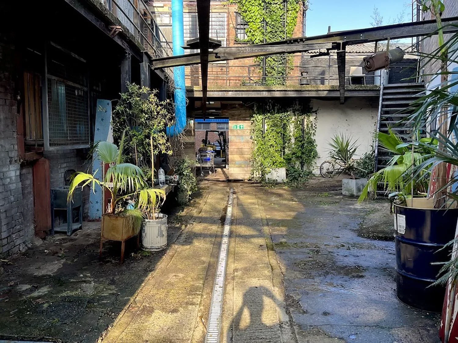 Urban alley with wet concrete ground, potted plants along the sides, and a blue pipe running overhead. A bicycle is leaning against a wall, and there is a staircase leading to an upper level on the right. The background shows brick and white walls wi