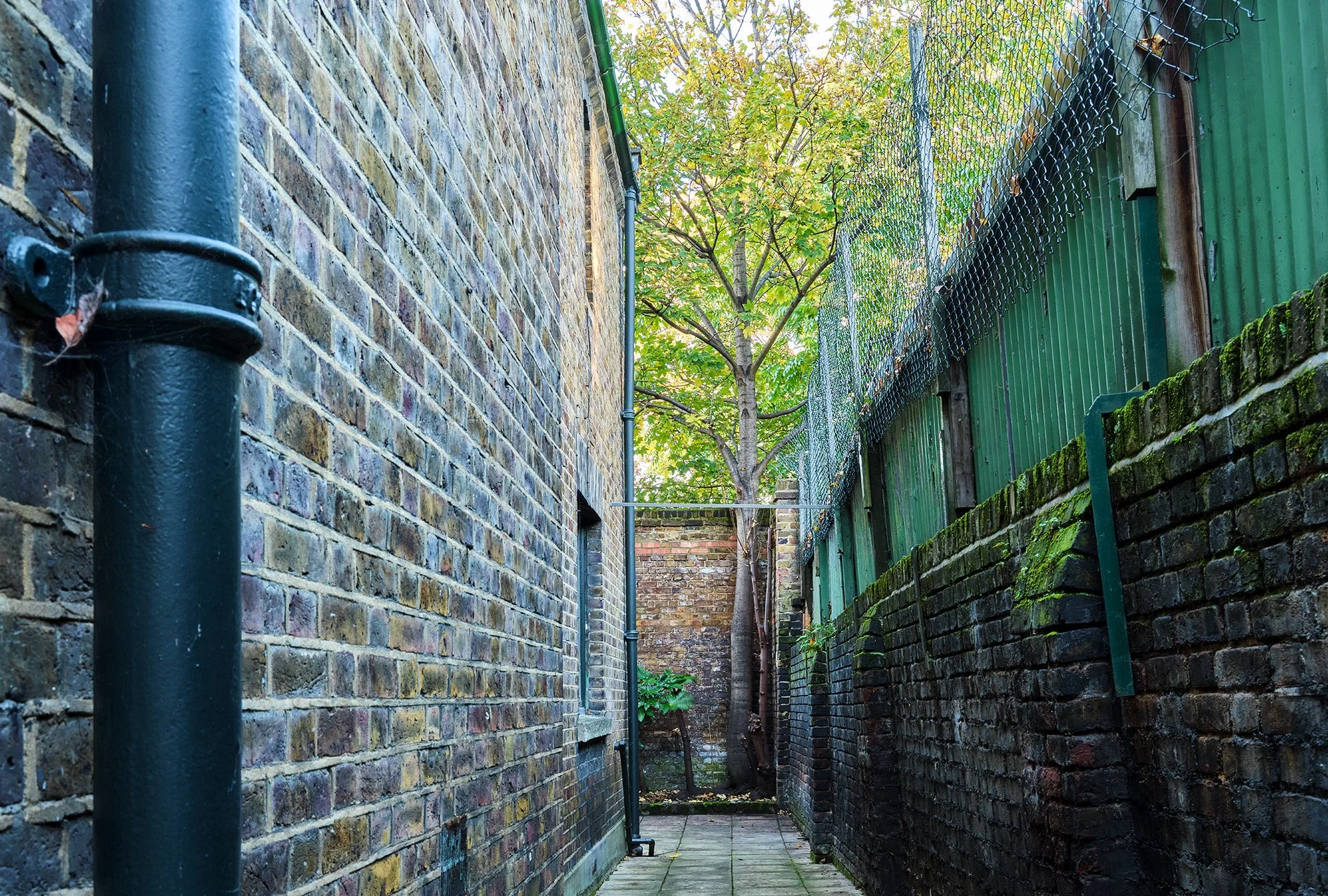 Narrow alleyway with brick walls on both sides, one with a window and a drainpipe, leading to a tree with green leaves at the end of the alley.