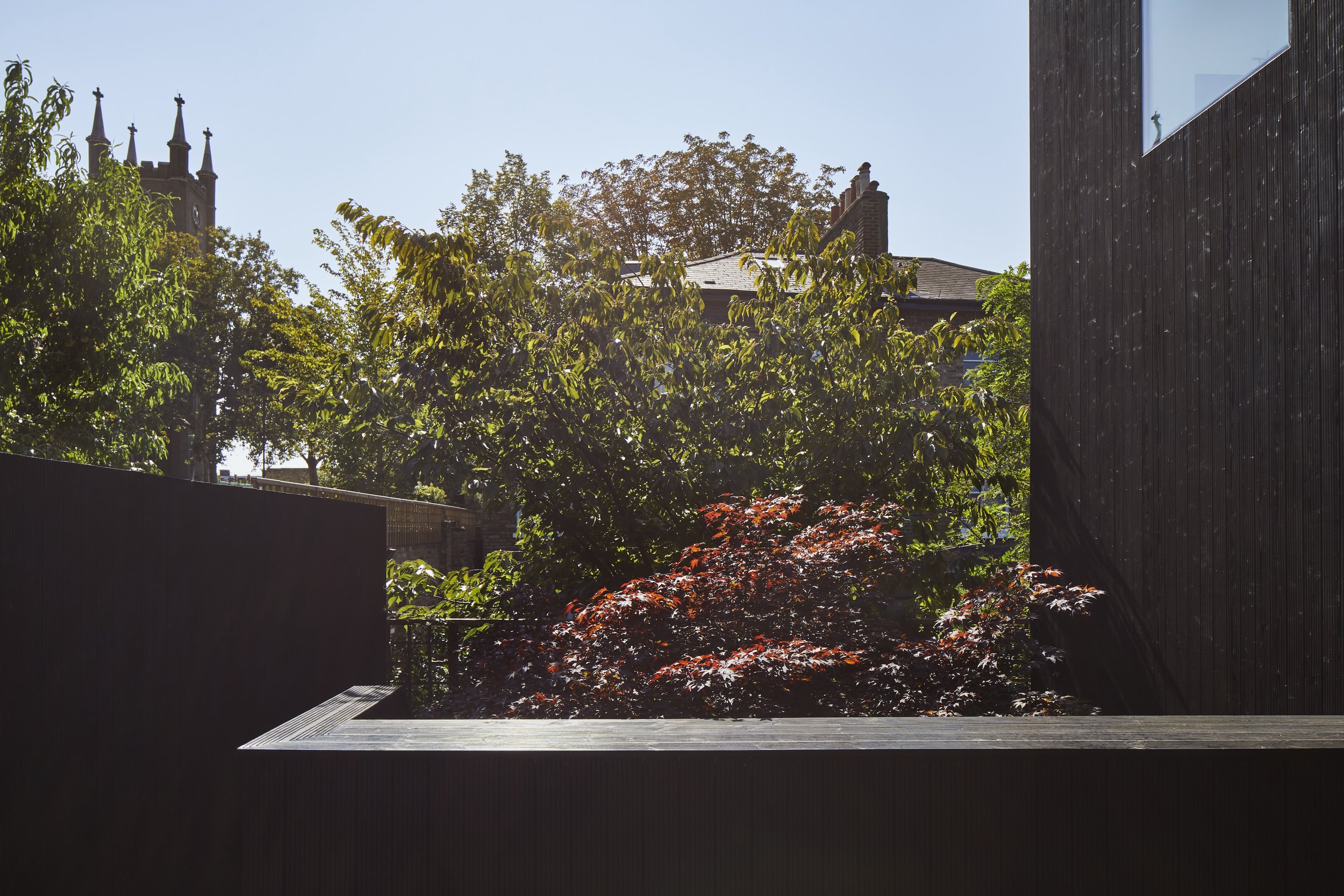 View of trees and plants in a garden yard with a dark wooden wall on the right and a dark fence at the bottom, under a clear blue sky.