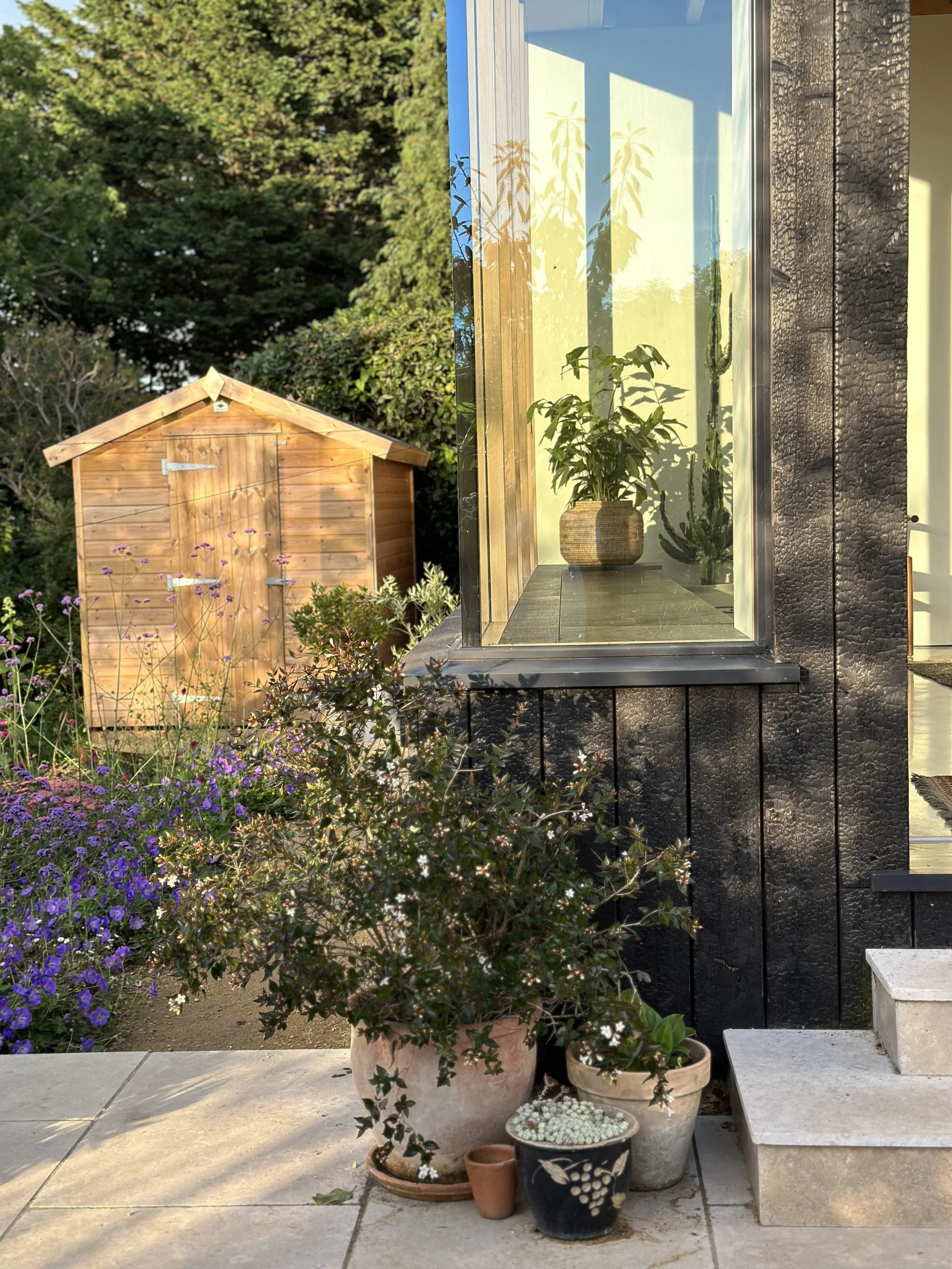 Sunlit backyard garden with potted plants in the foreground, a small wooden shed on the left, and a house with a window reflecting outdoor plants on the right.