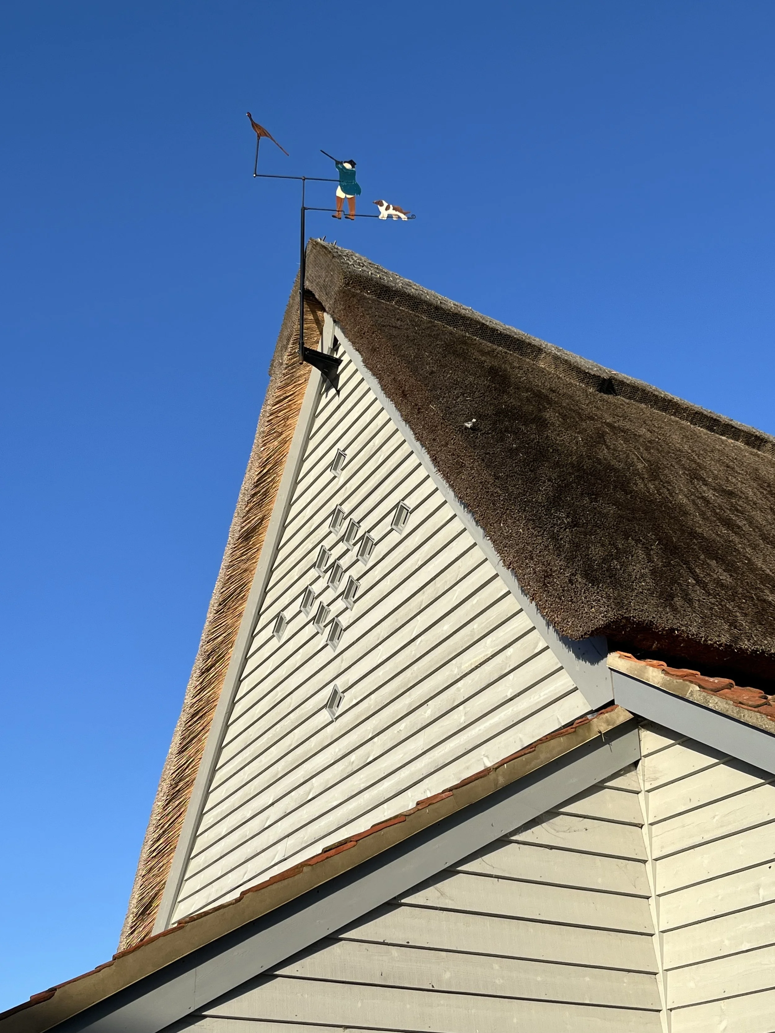 A close-up of the peak of a house roof with a weather vane on top. The weather vane features a boy with a dog, both pointing in different directions, with a bird perched on the vane. The house has beige siding and a brown shingled roof. The sky is cl