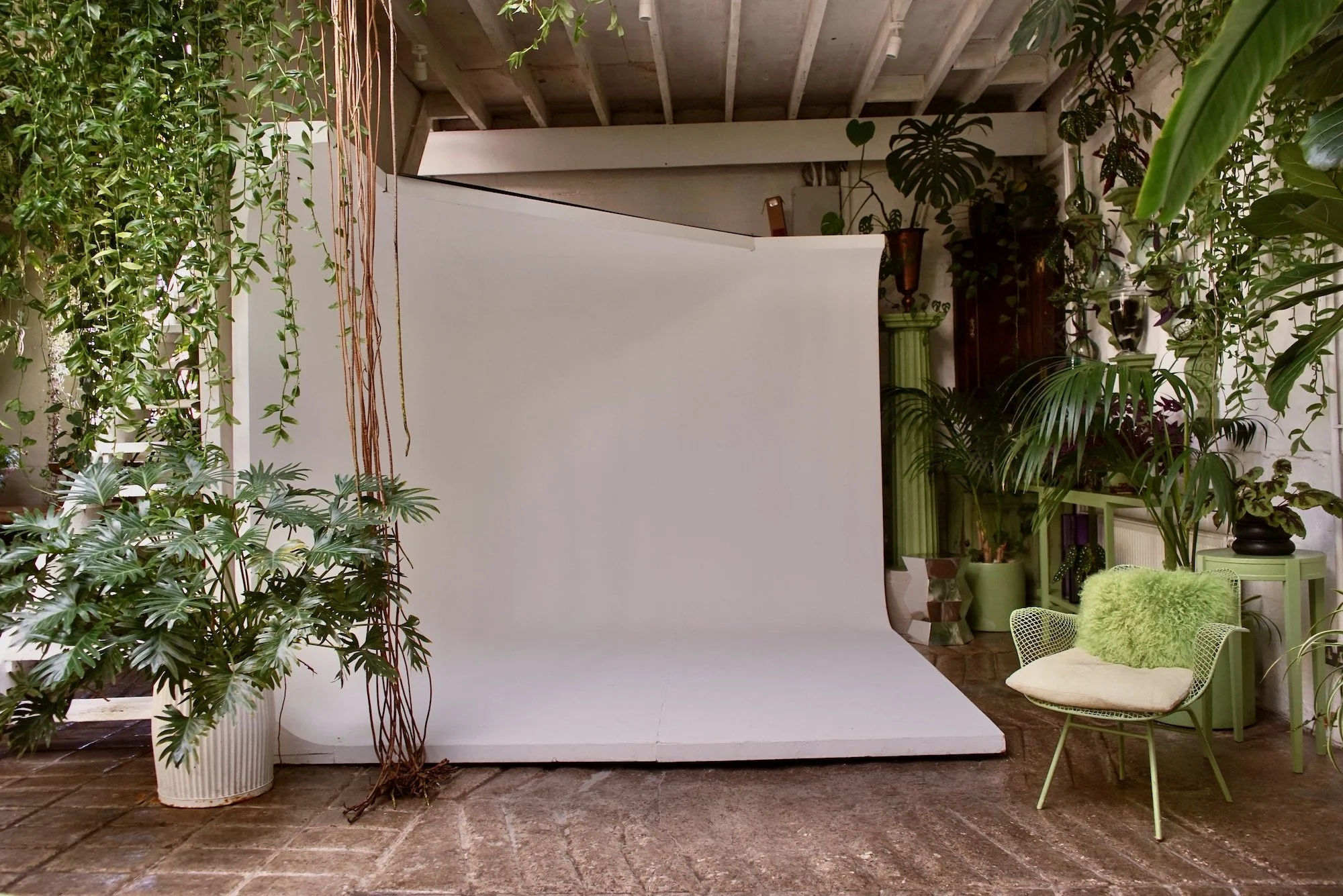 Indoor scene with a white photography backdrop, green plants, a green chair with a white cushion and a fluffy green pillow, and potted plants on various stands, set on a brick floor under a wooden ceiling.