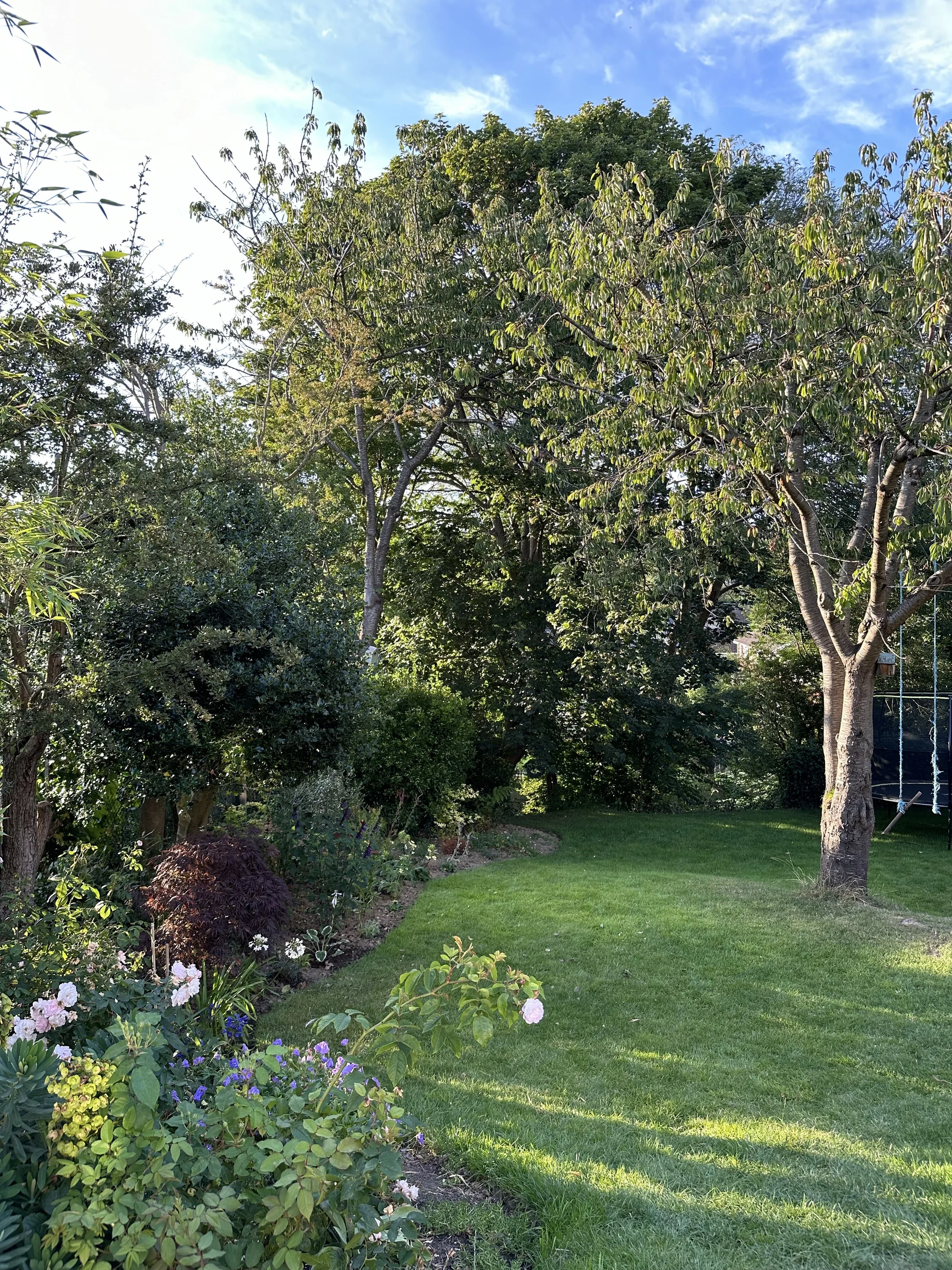 A lush backyard garden with a well-maintained grassy lawn, colorful flowers, and various trees under a bright blue sky with scattered clouds.