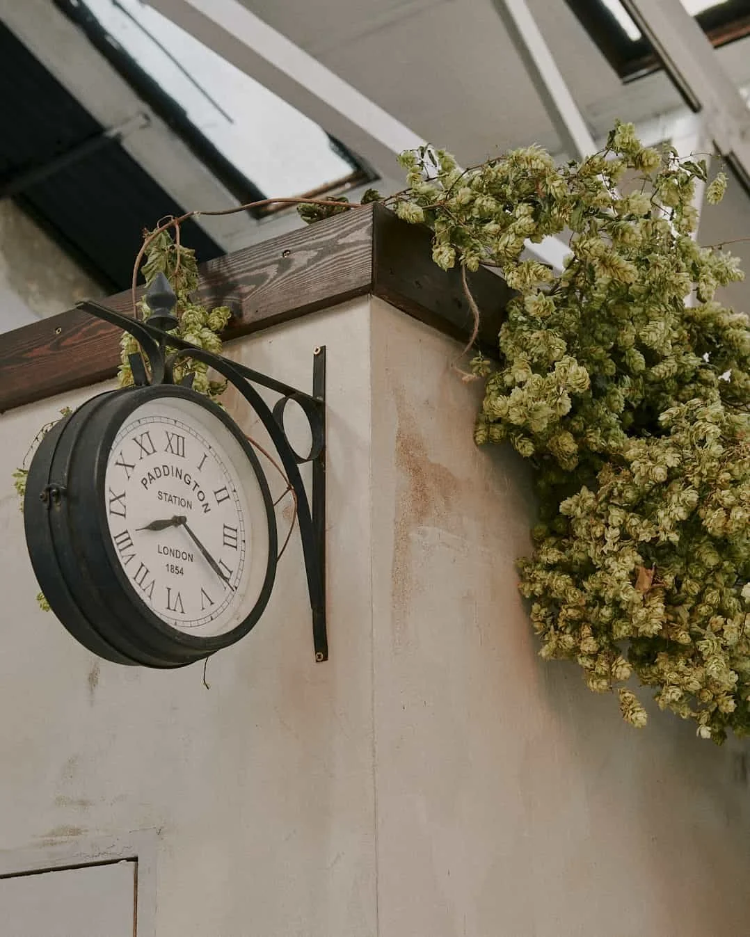 A vintage round clock with Roman numerals and black wrought iron bracket, displaying the time as 8:45, mounted on a beige wall near a corner decorated with dried green foliage.