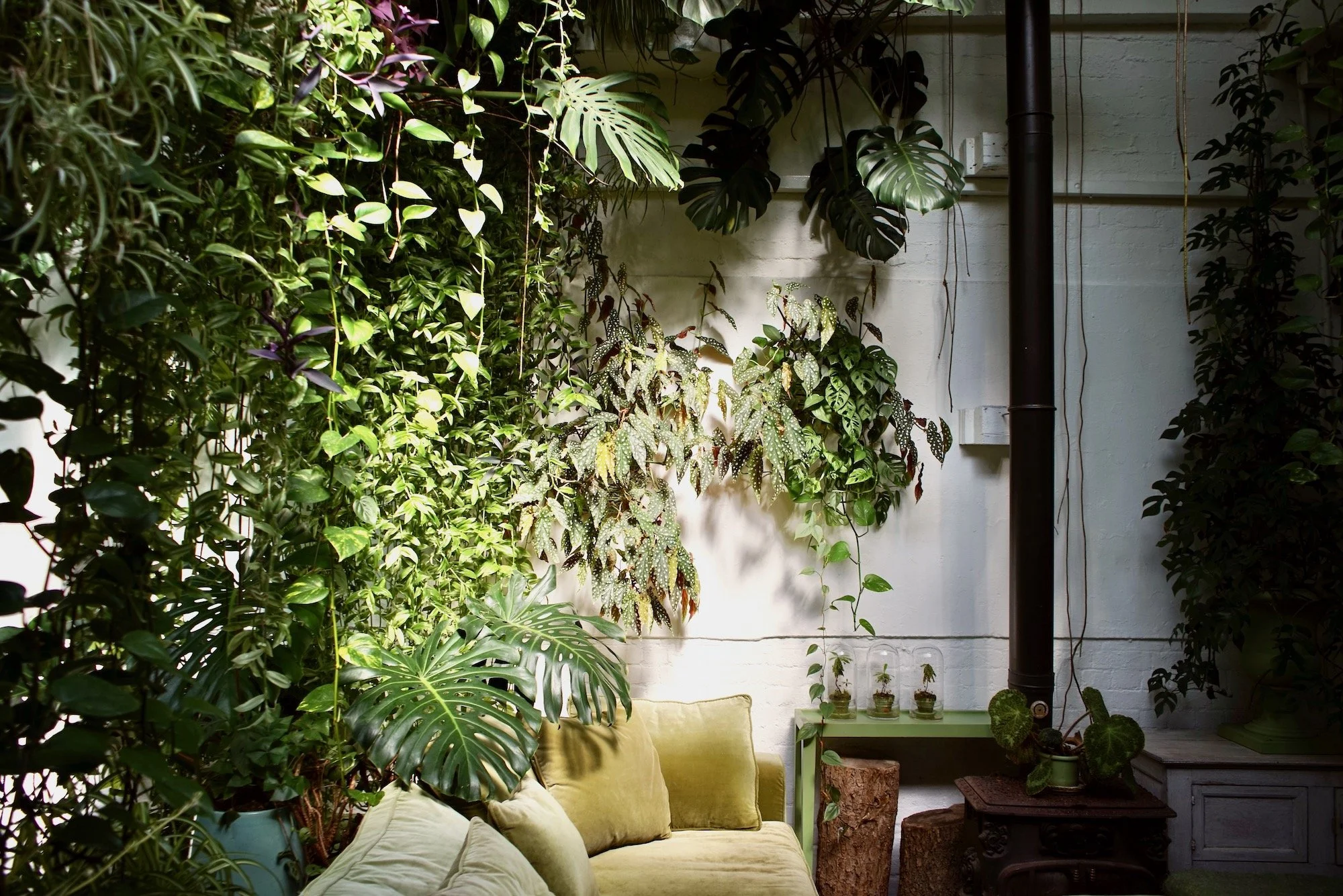 Indoor space decorated with a lush green plant wall and a yellow sofa with pillows, a small green table with glass containers holding small plants, and wooden stumps and furniture against a white brick wall.