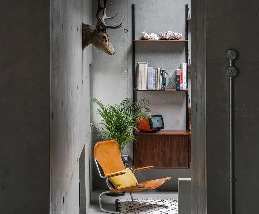 A cozy reading nook with a mid-century modern chair, potted plant, and a tall bookshelf against a concrete wall, with a mounted deer head on the wall.