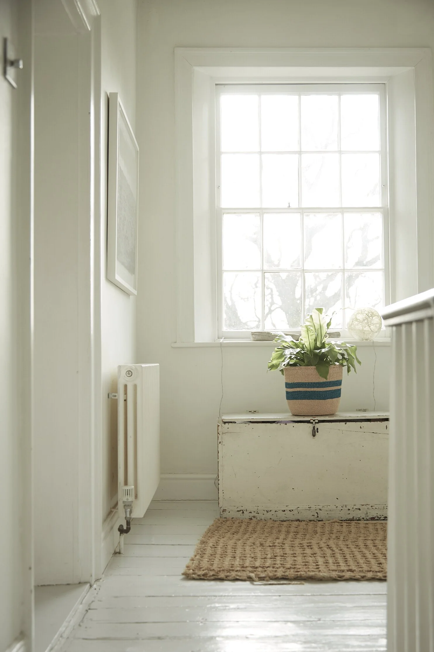 A bright, cozy hallway with a large window, a potted plant on a white chest, a beige woven rug, and a radiator against the wall.
